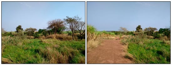 Sustainability 13 09304 g0a2