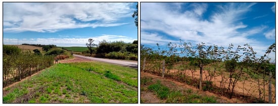 Sustainability 13 09304 g0a3