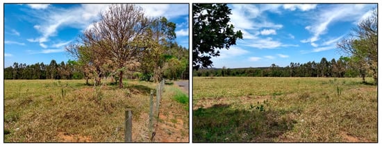 Sustainability 13 09304 g0a4