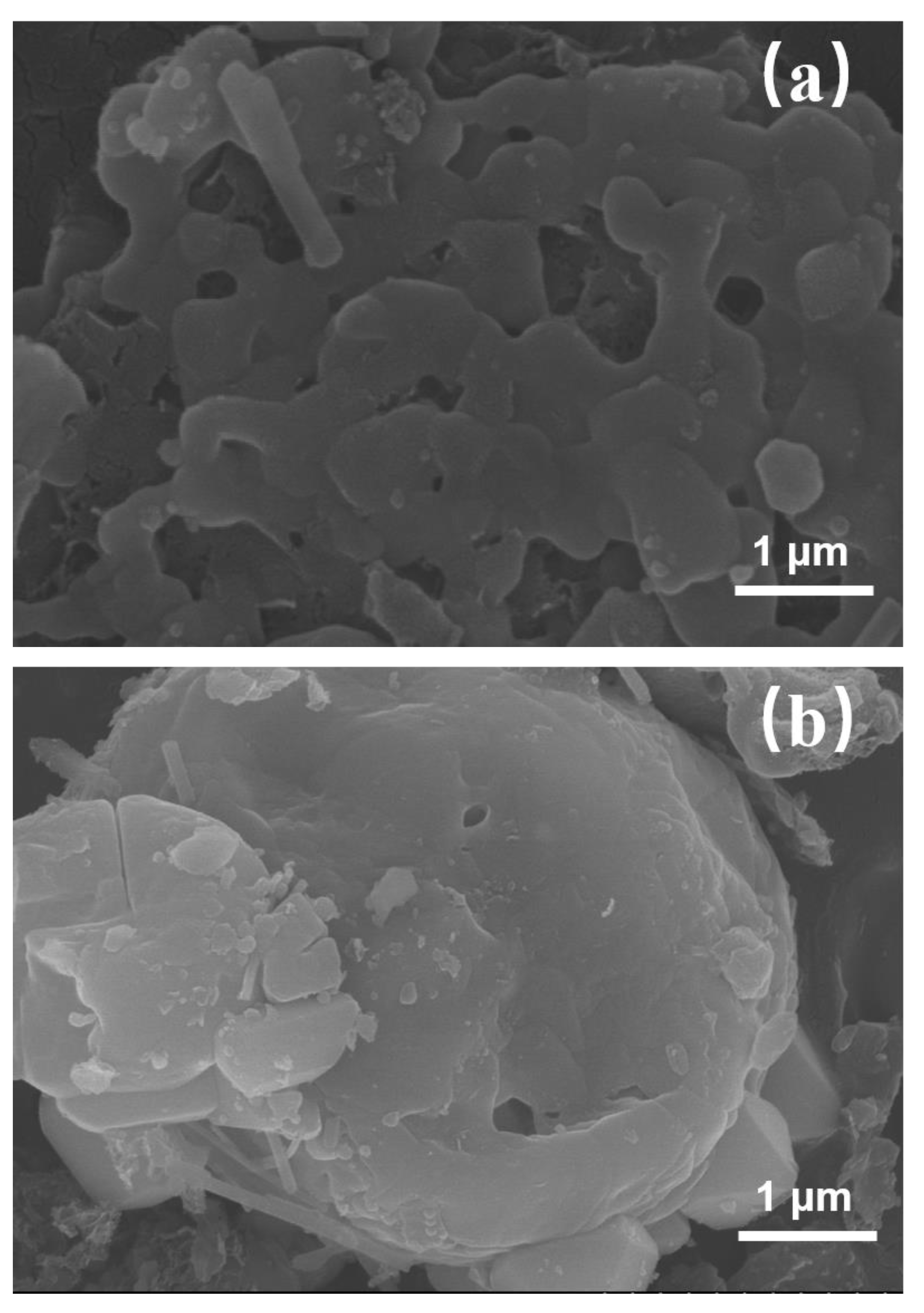 Sustainability 13 09307 g001a