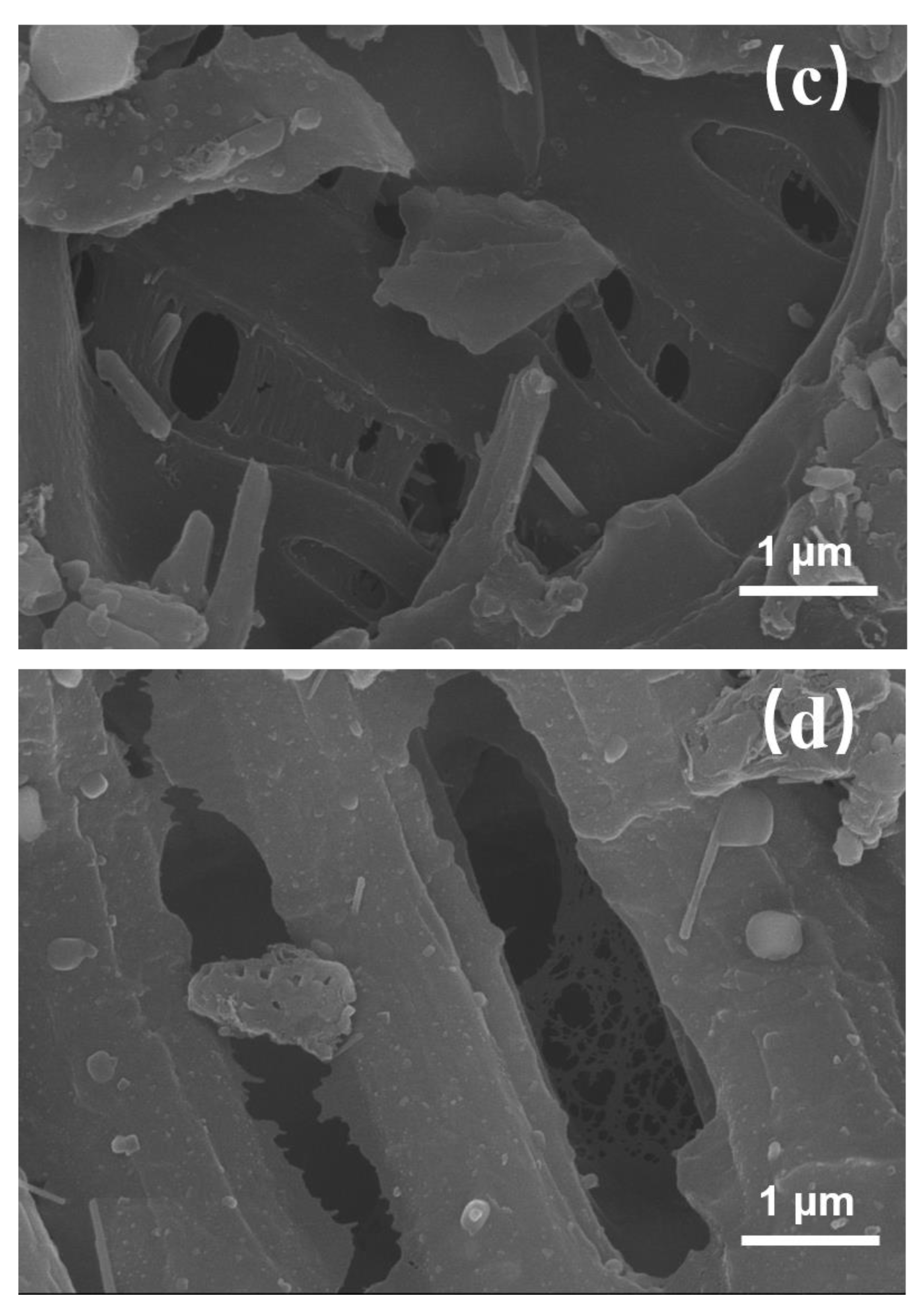 Sustainability 13 09307 g001b