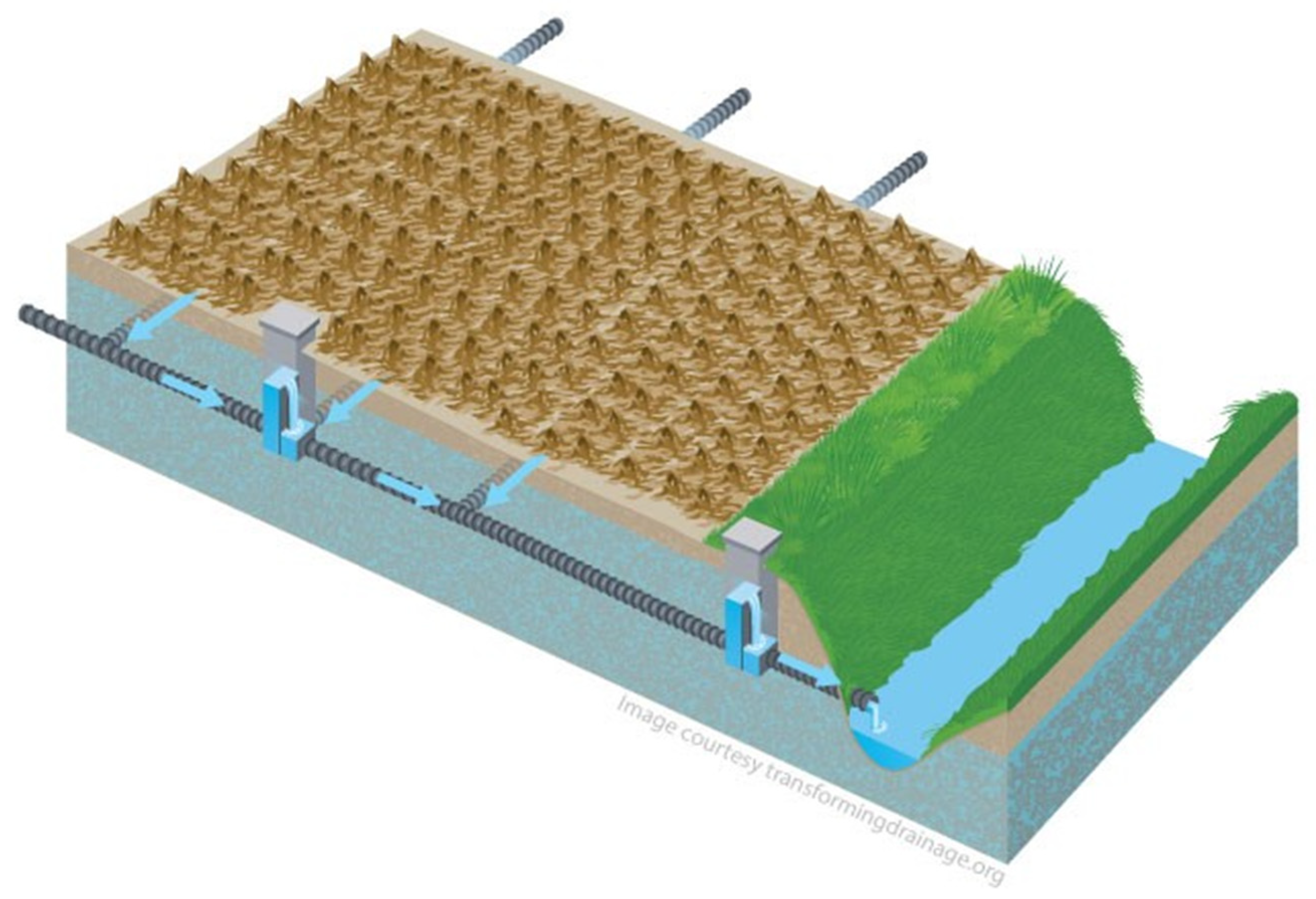 Sustainability 13 09309 g003