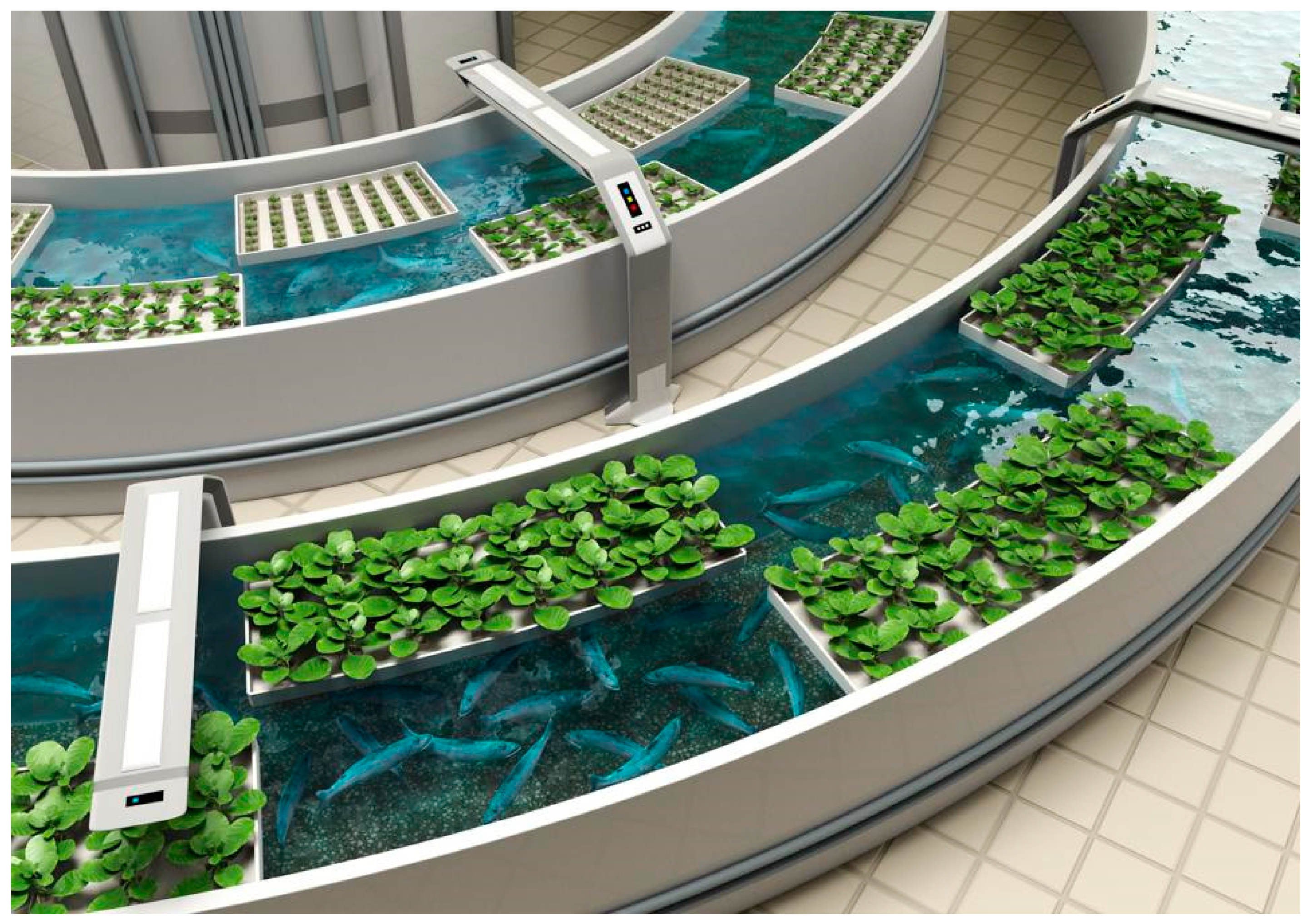 Sustainability 13 09313 g001