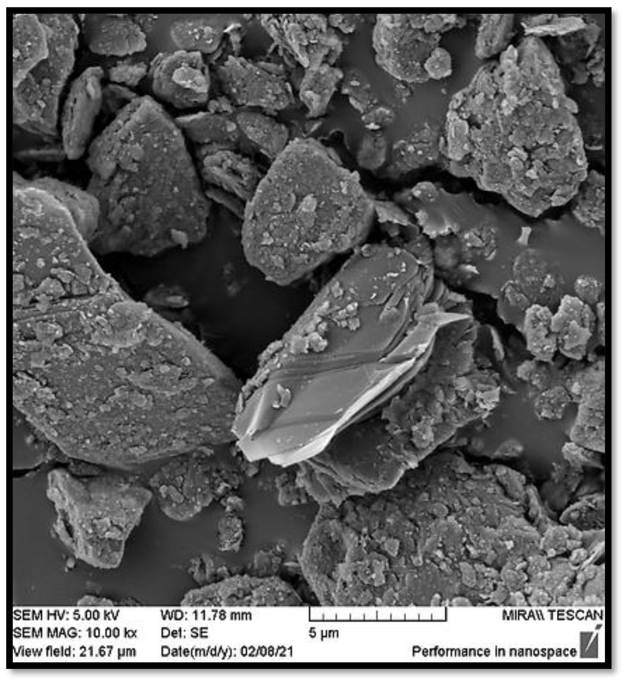 Sustainability 13 09330 g005