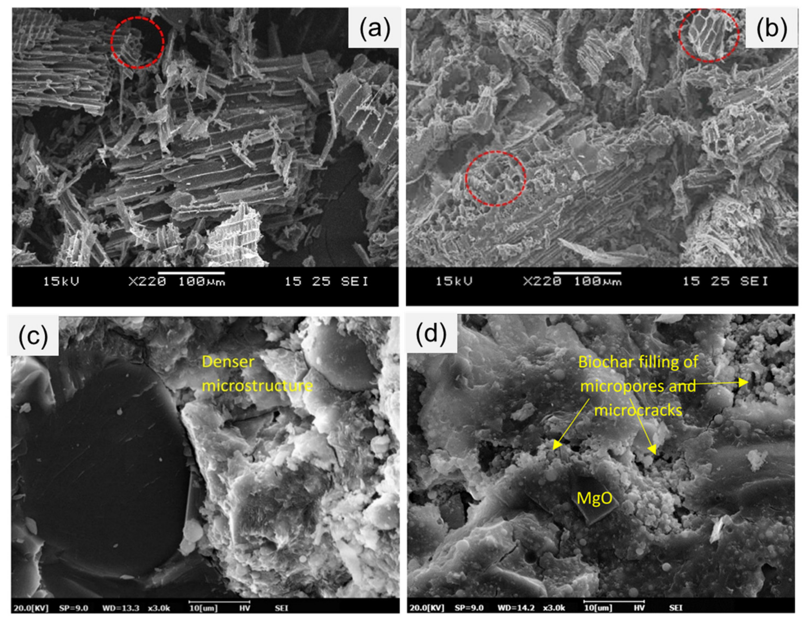 Sustainability 13 09336 g003