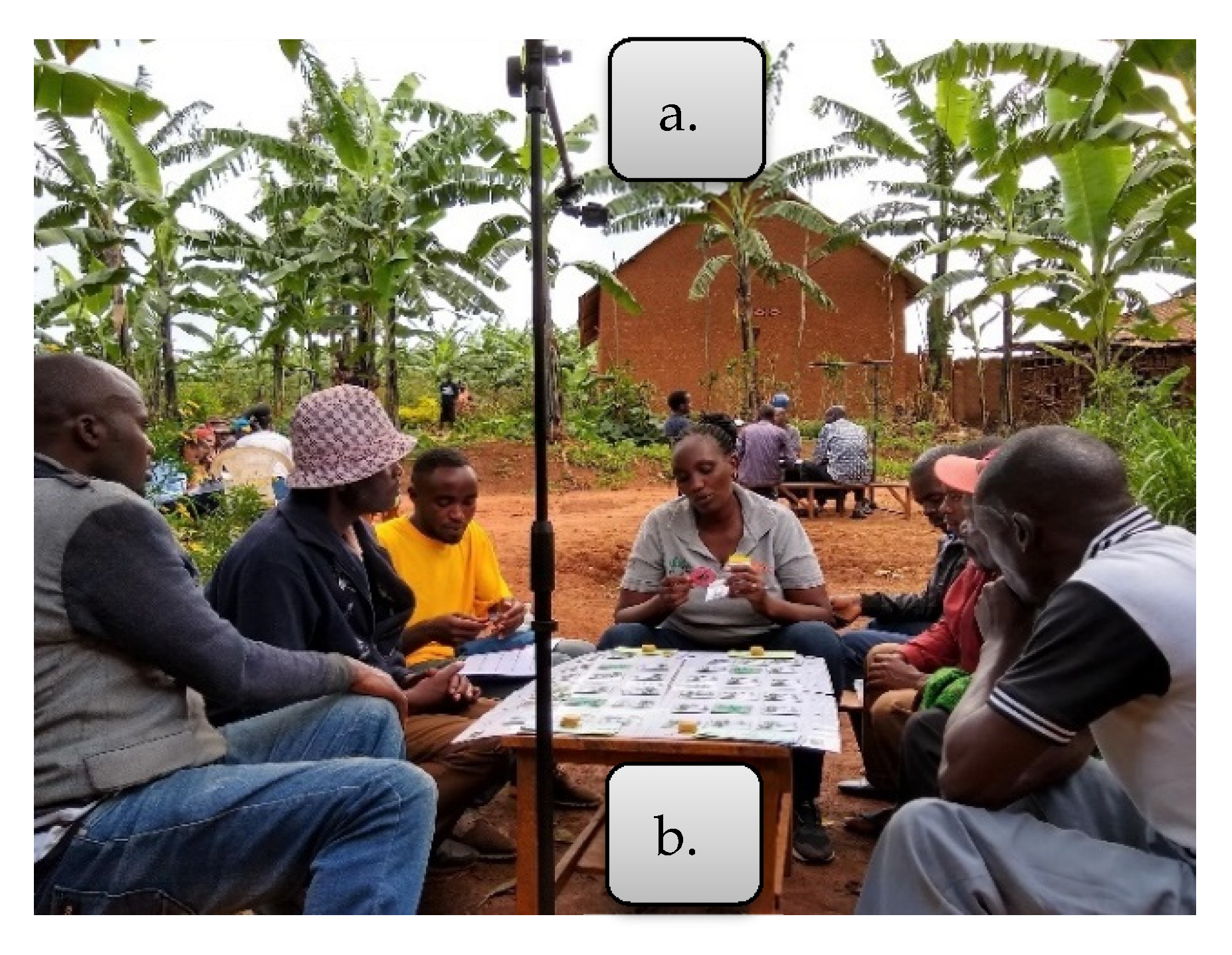 Sustainability 13 09353 g003