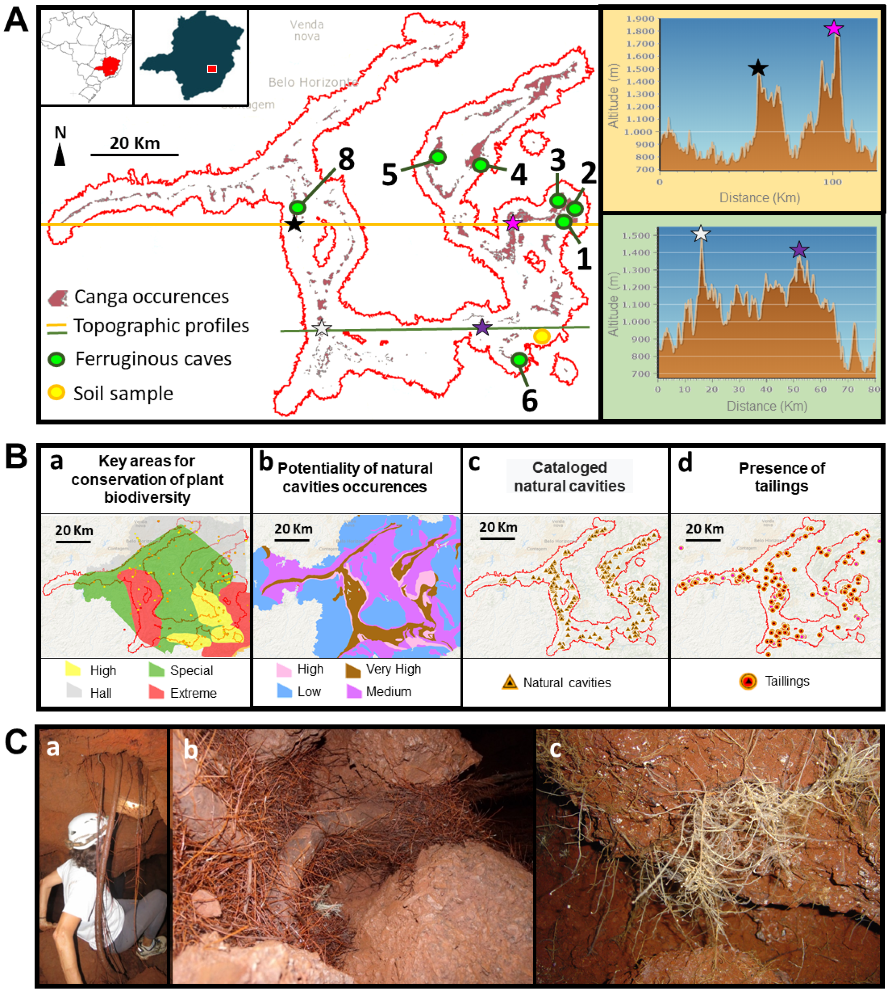 Sustainability 13 09354 g001