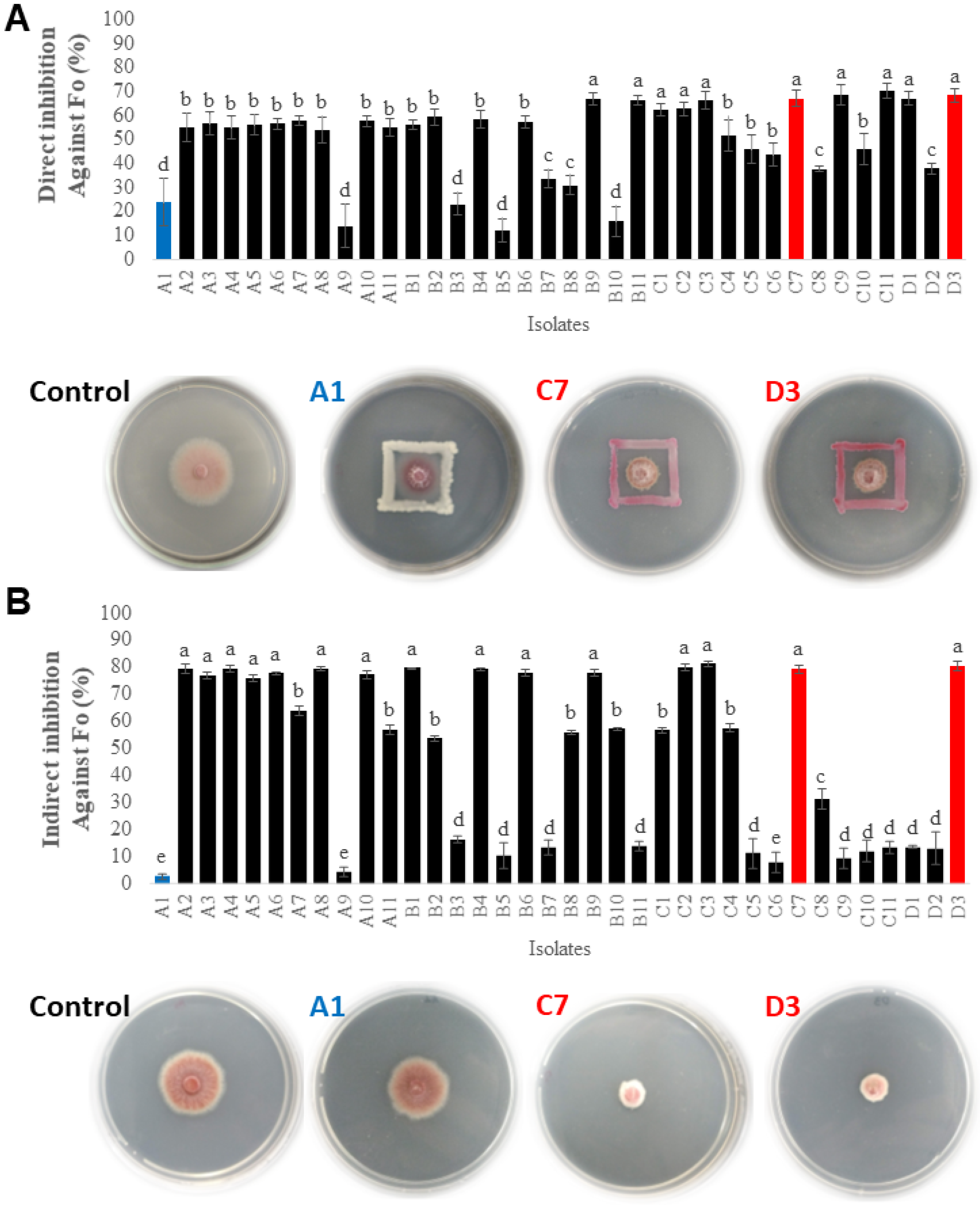Sustainability 13 09354 g004