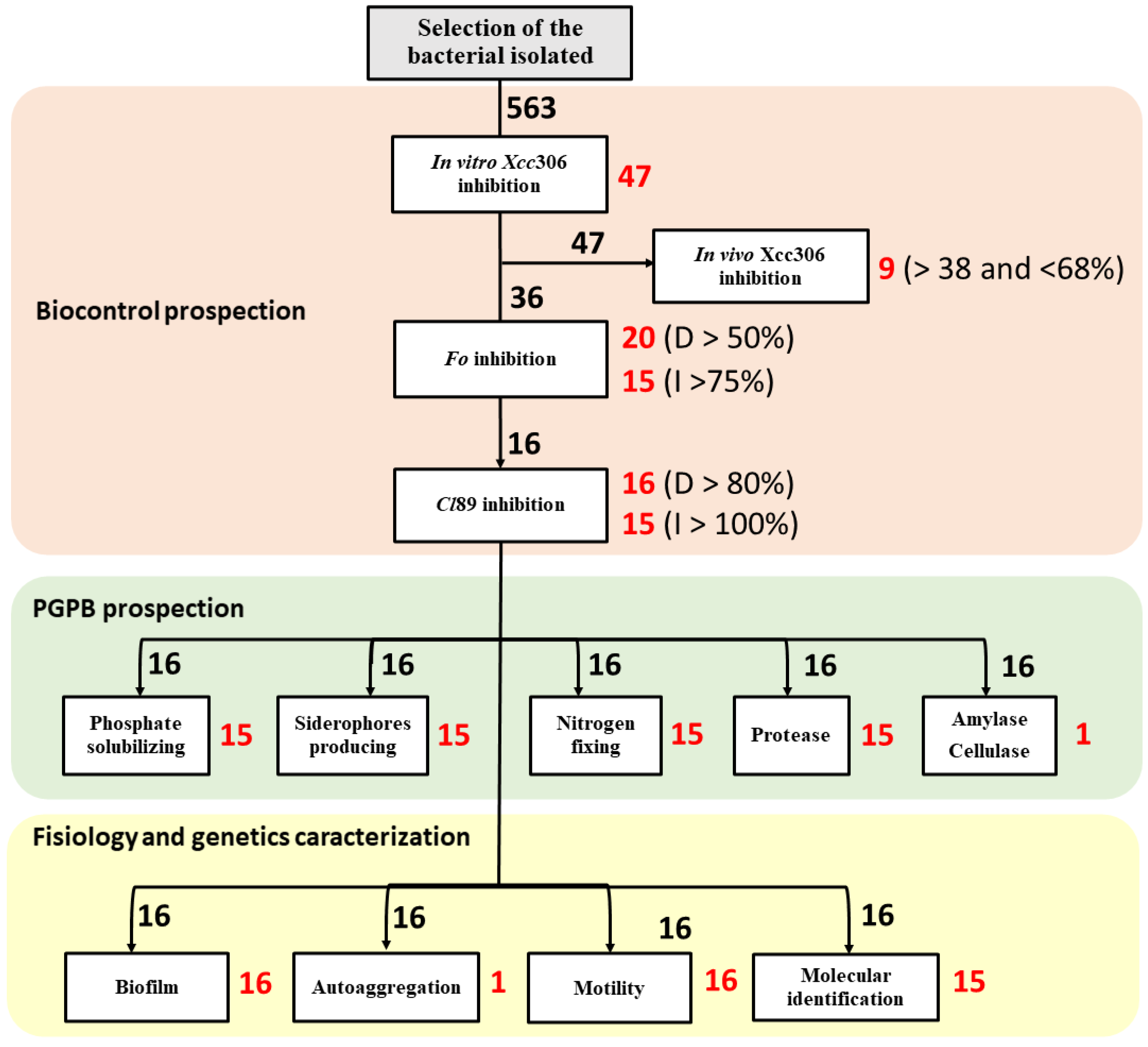 Sustainability 13 09354 g007