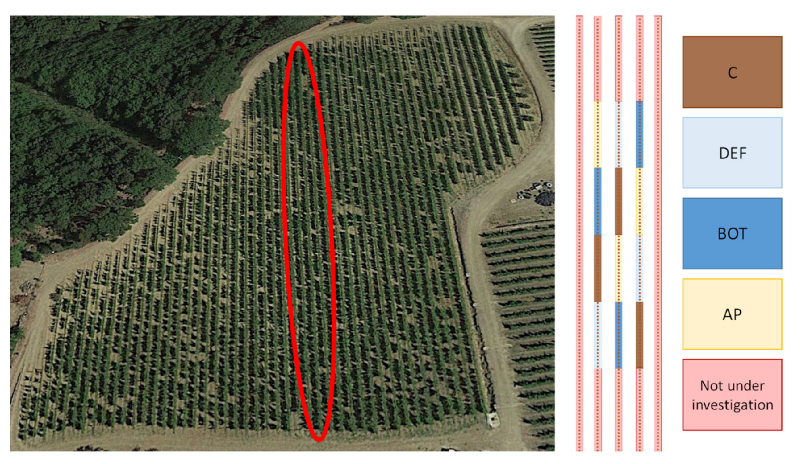 Sustainability 13 09389 g001