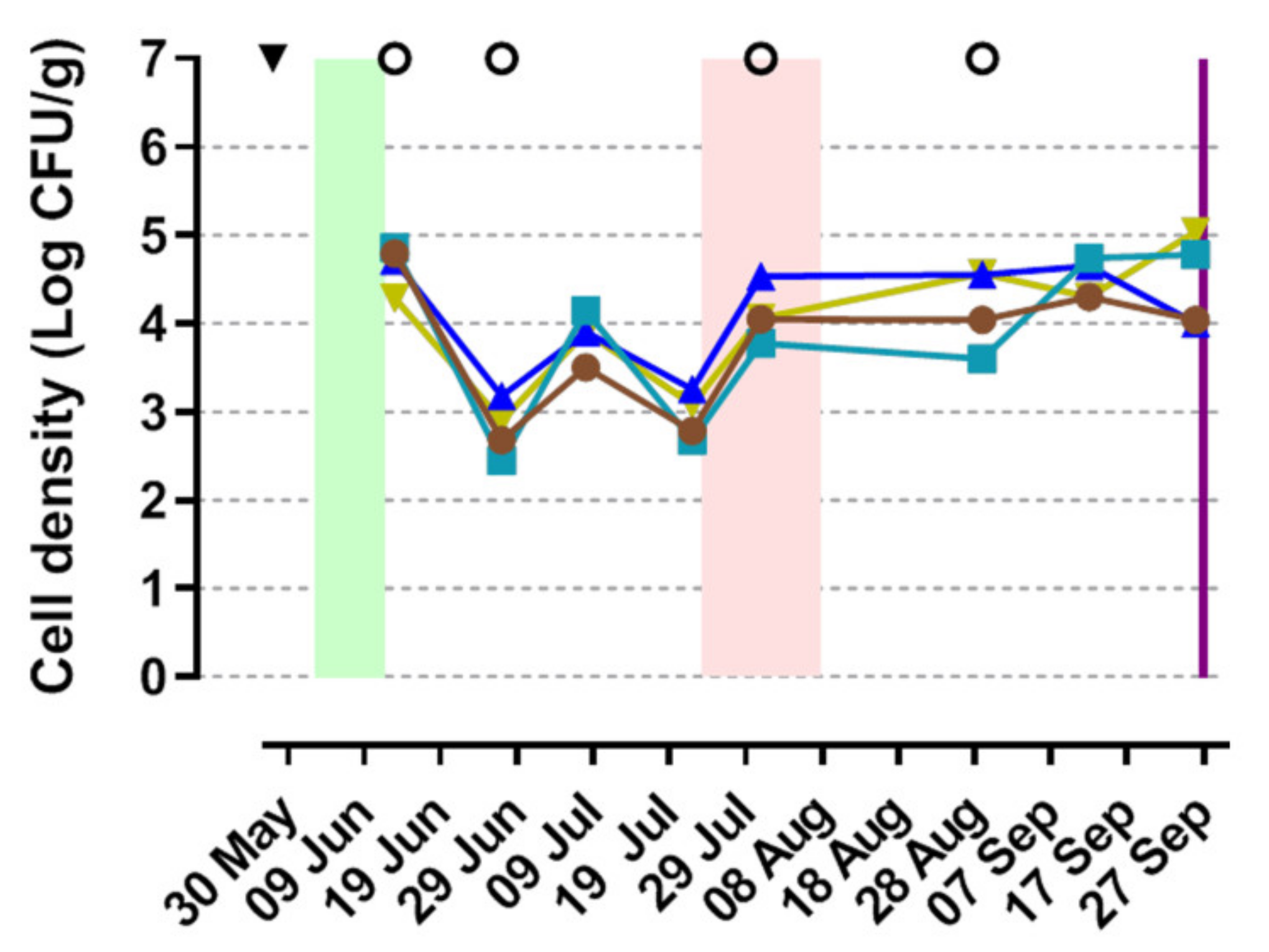 Sustainability 13 09389 g005