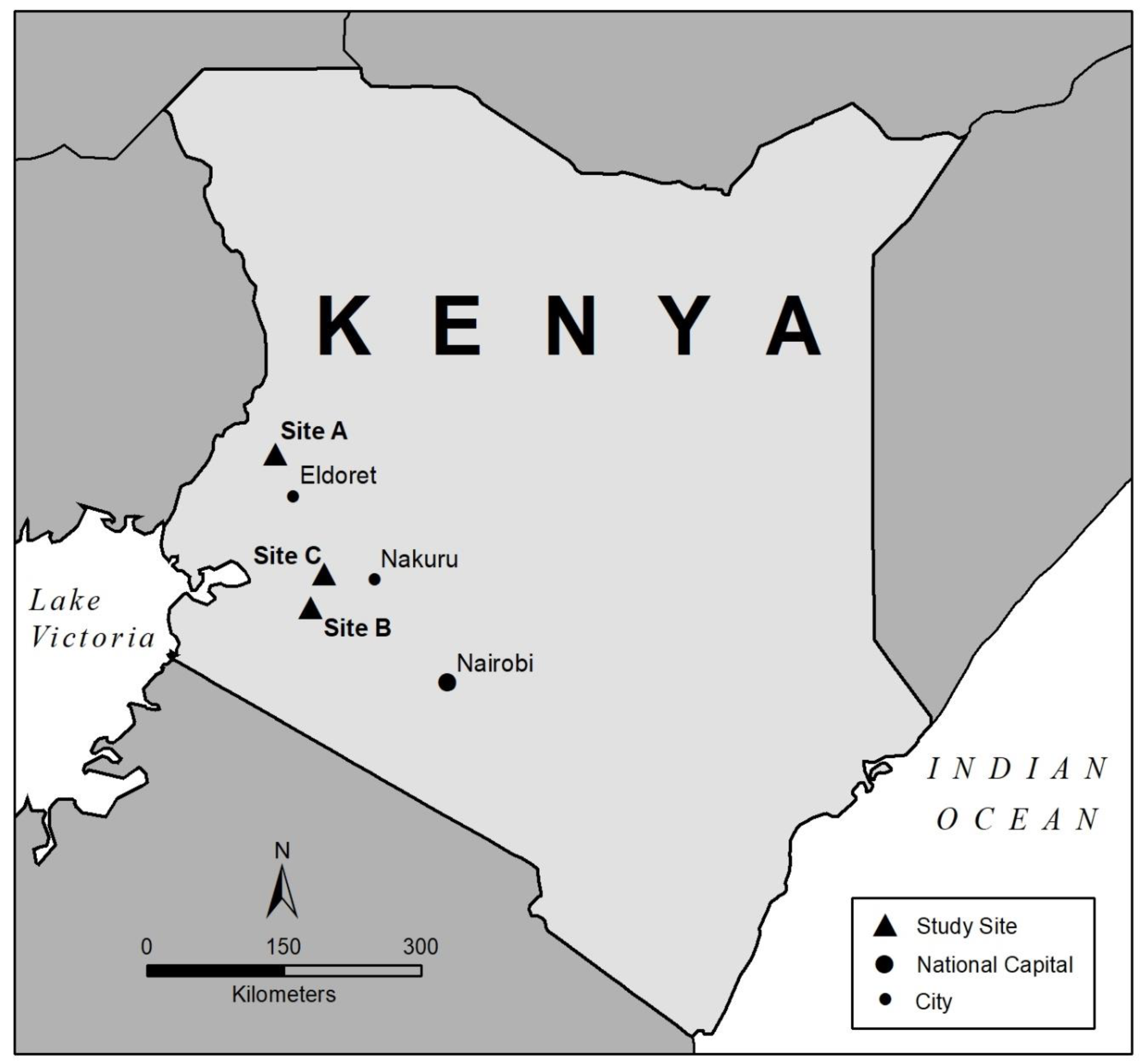 Sustainability 13 09396 g002