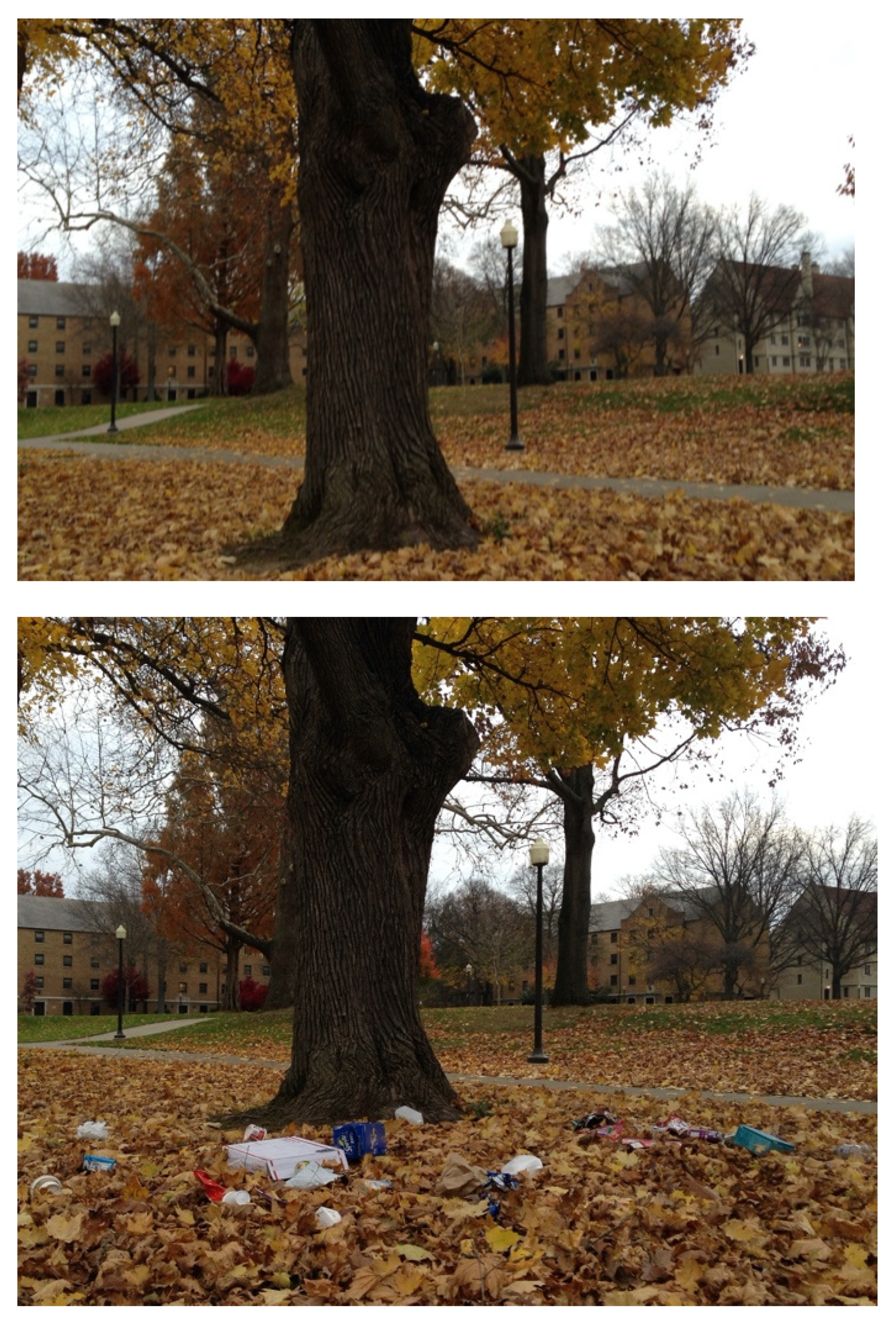 Sustainability 13 09422 g001a