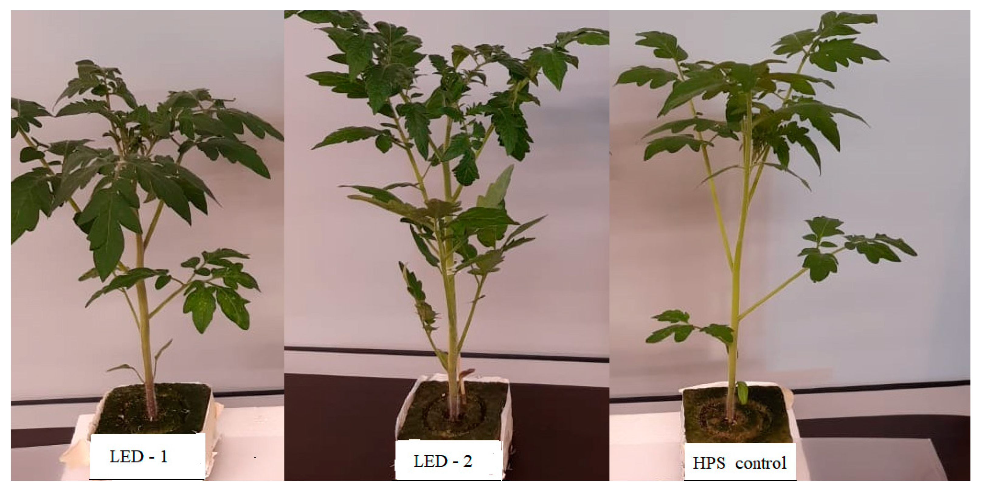 Sustainability 13 09426 g003