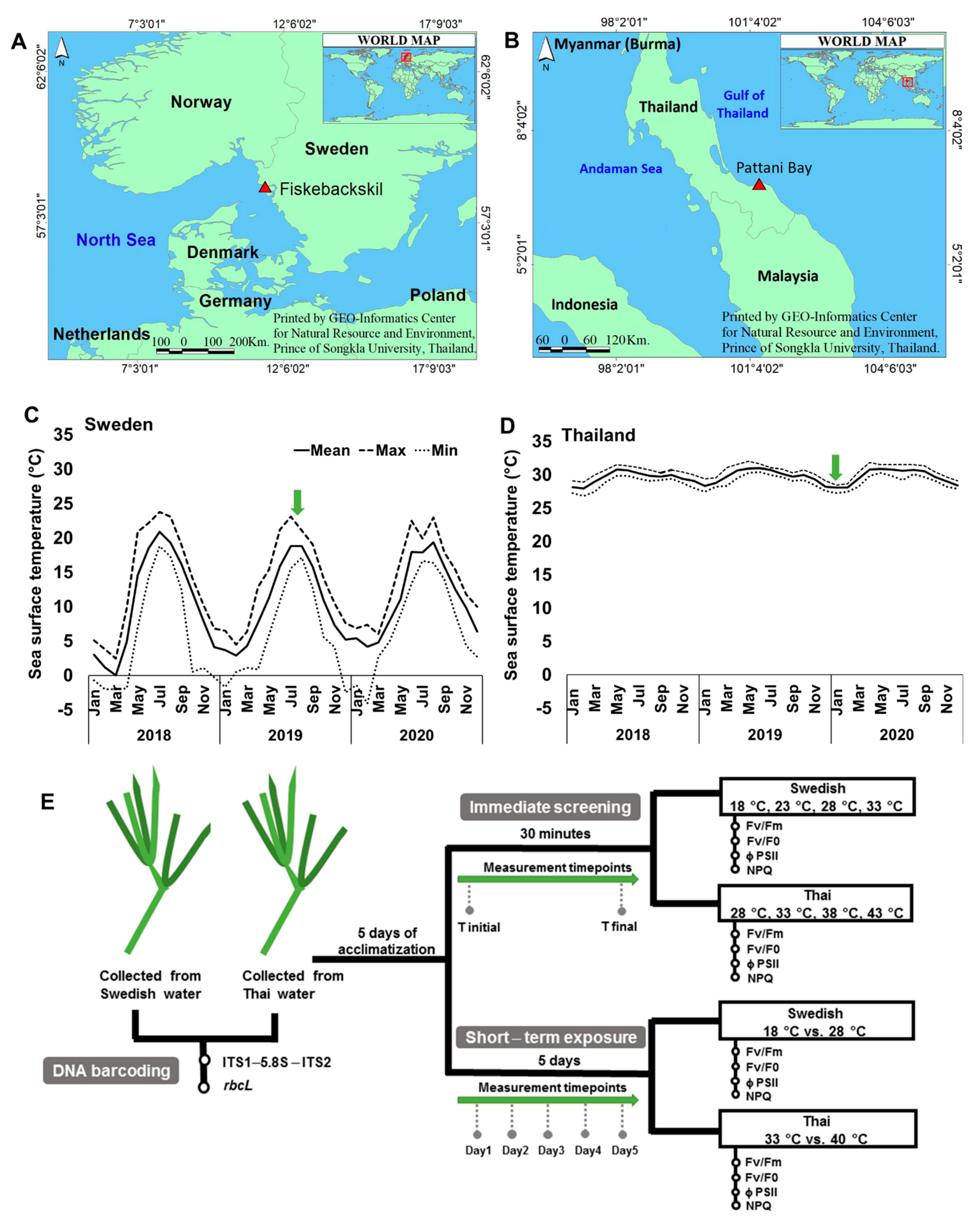 Sustainability 13 09433 g001