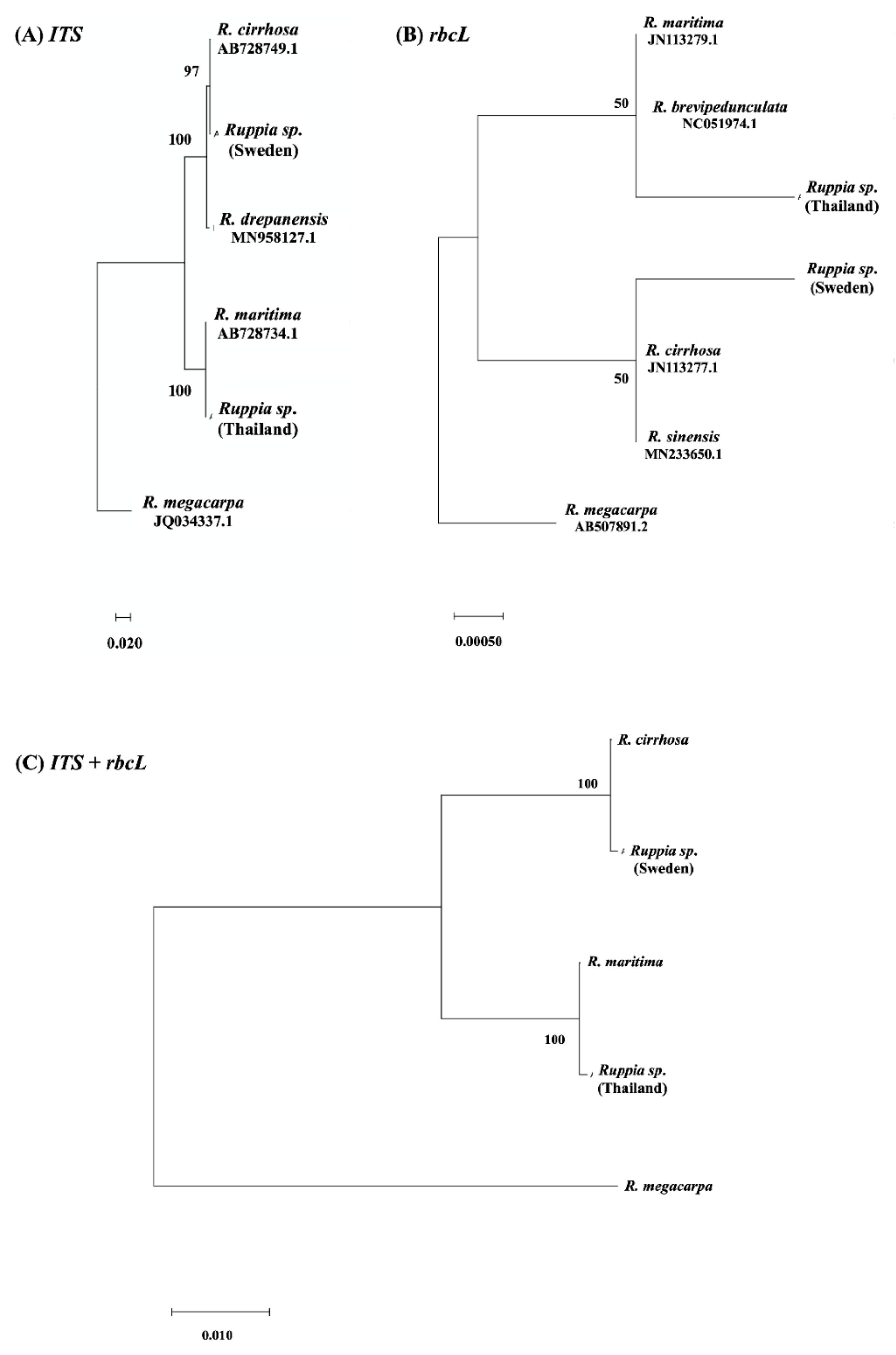 Sustainability 13 09433 g002