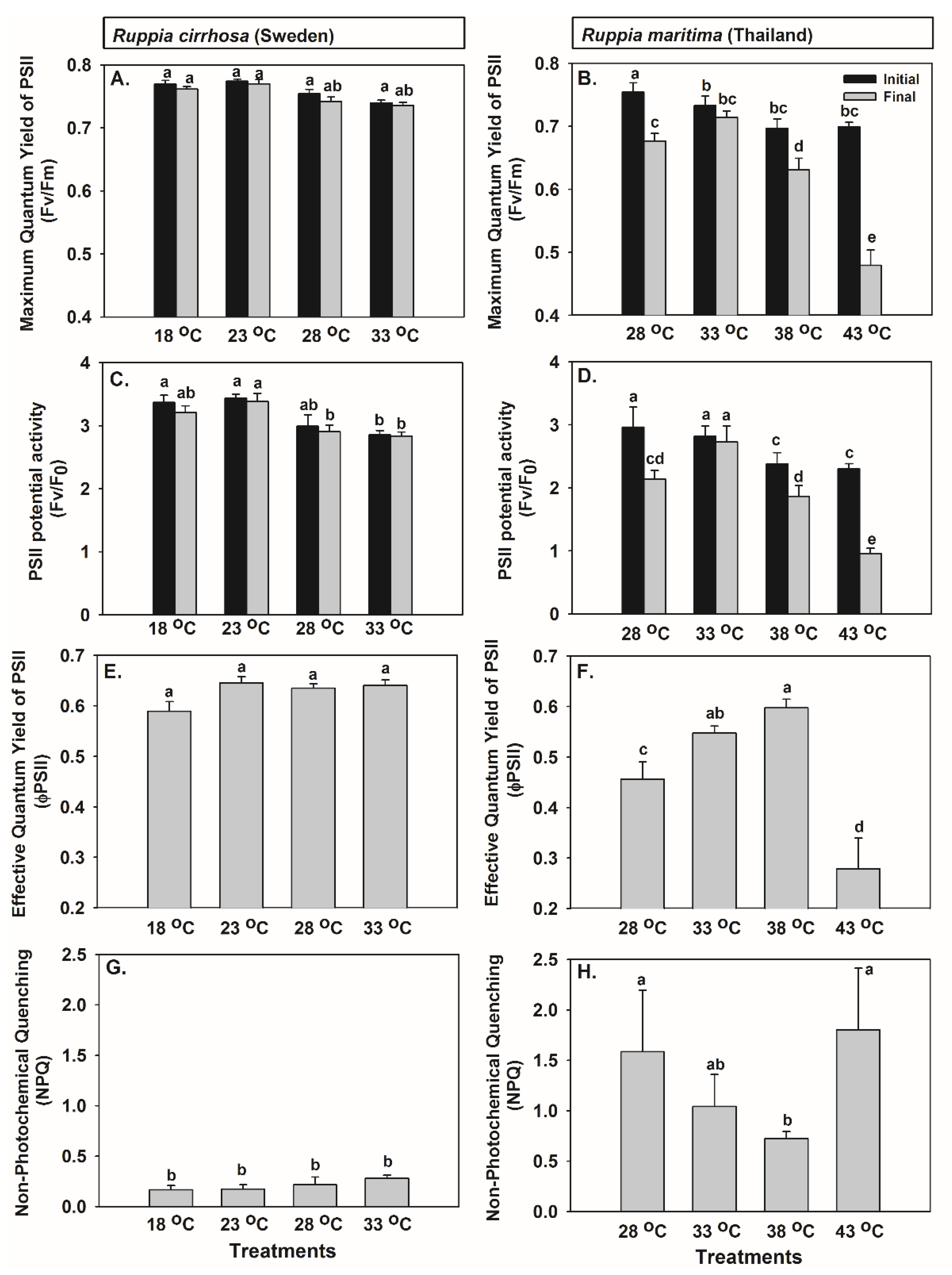 Sustainability 13 09433 g003
