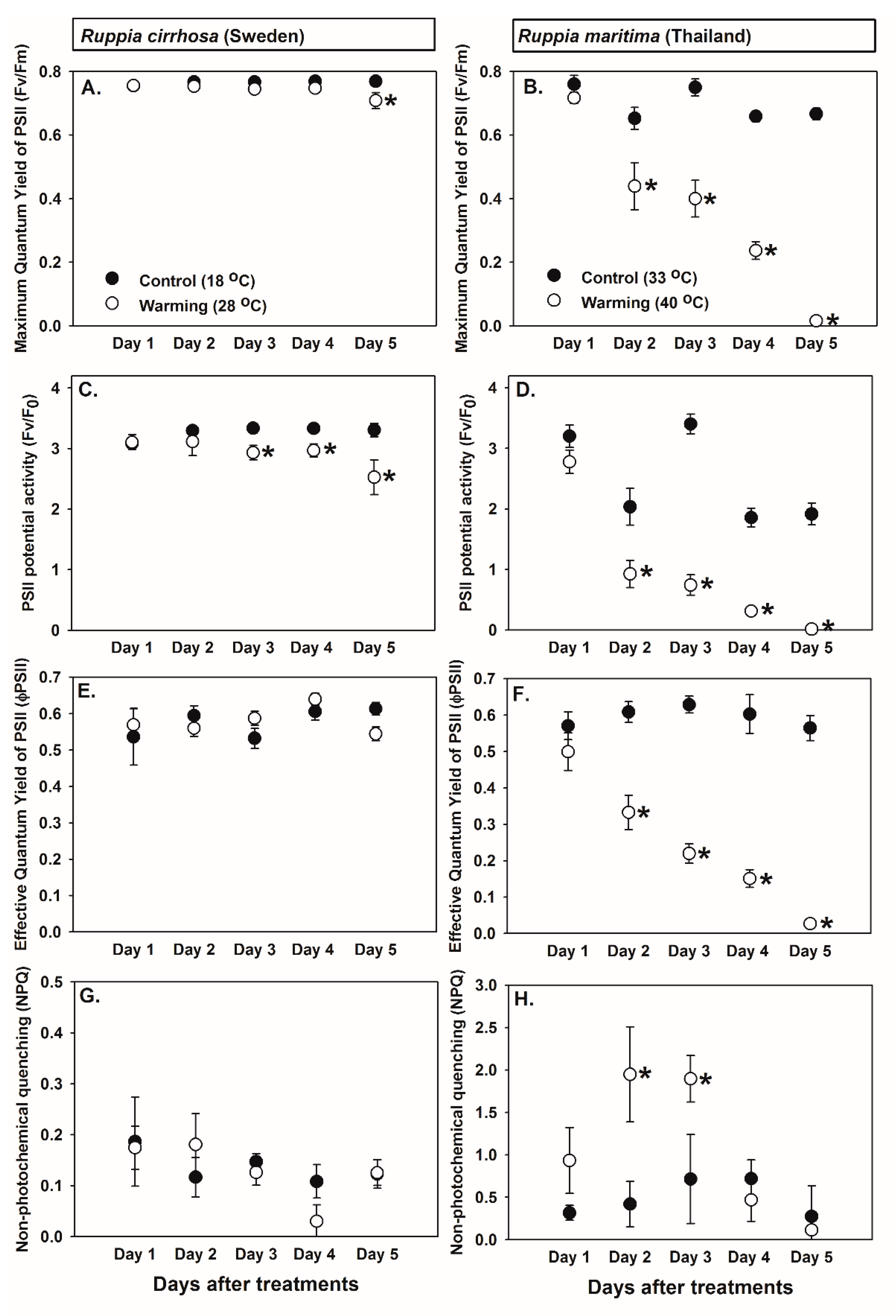 Sustainability 13 09433 g004