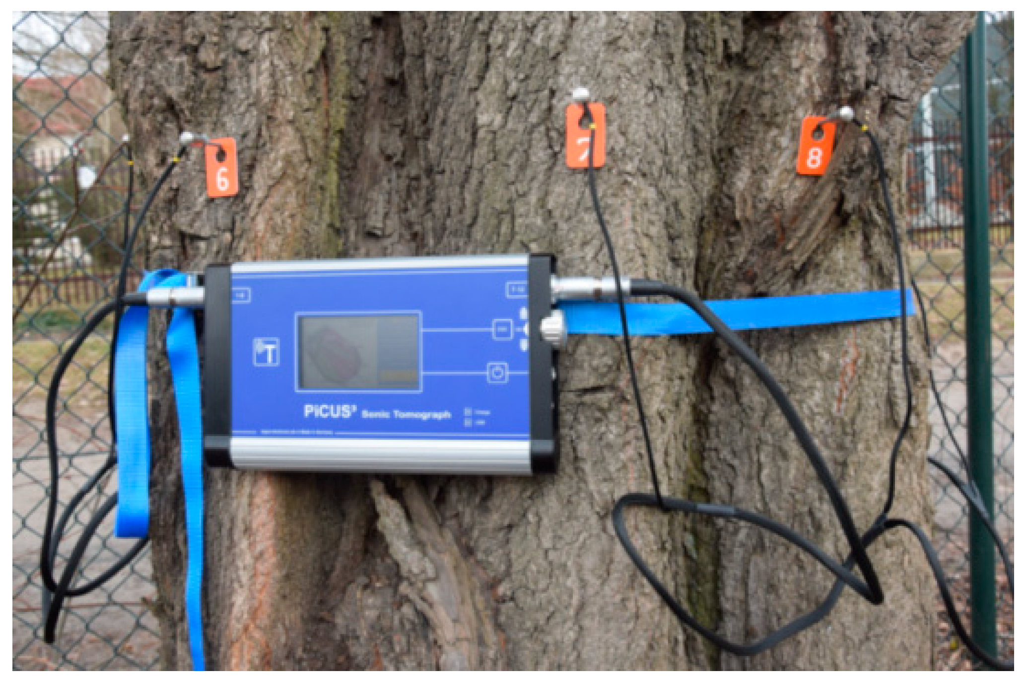 Sustainability 13 09451 g002