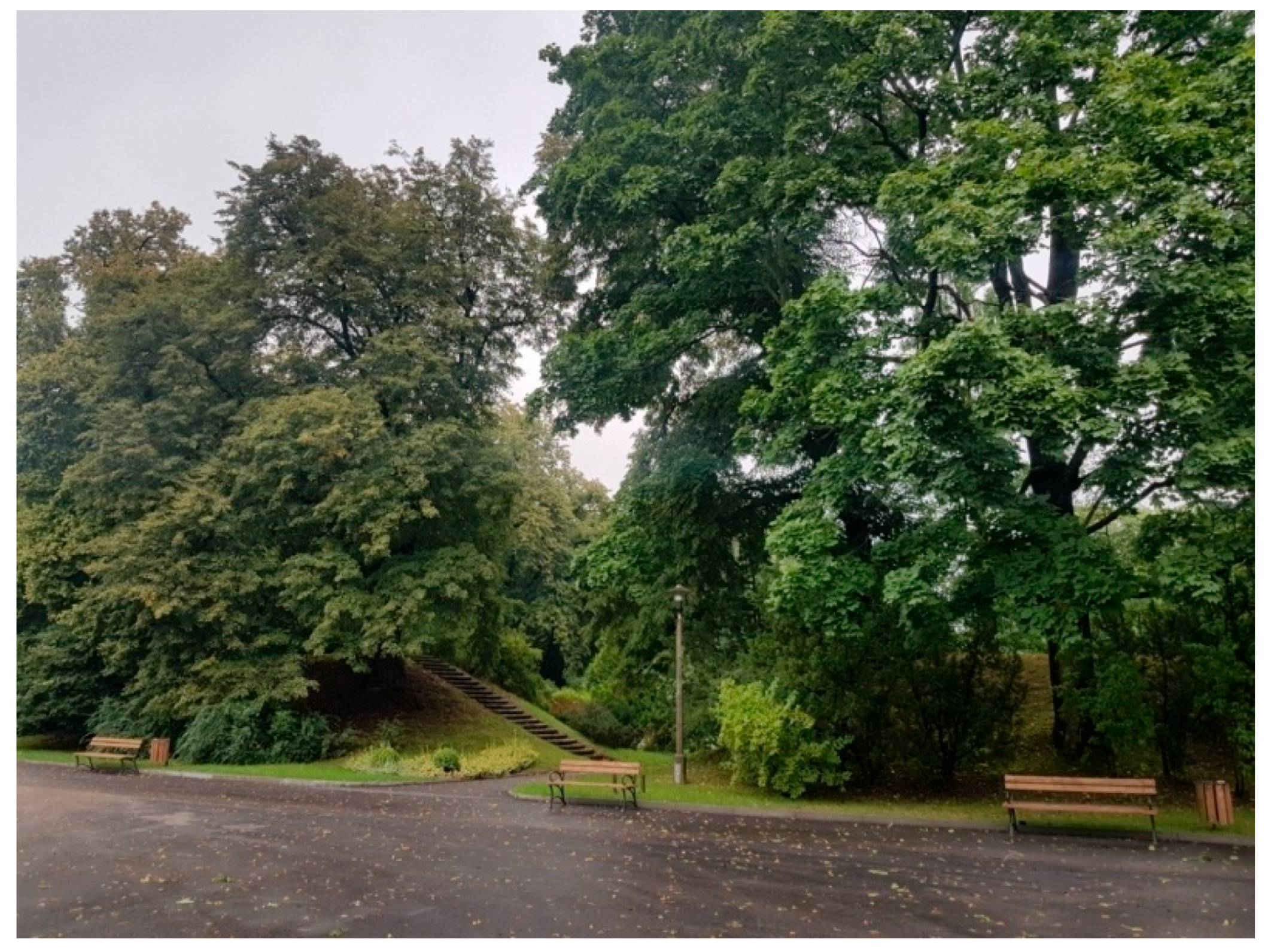 Sustainability 13 09451 g003