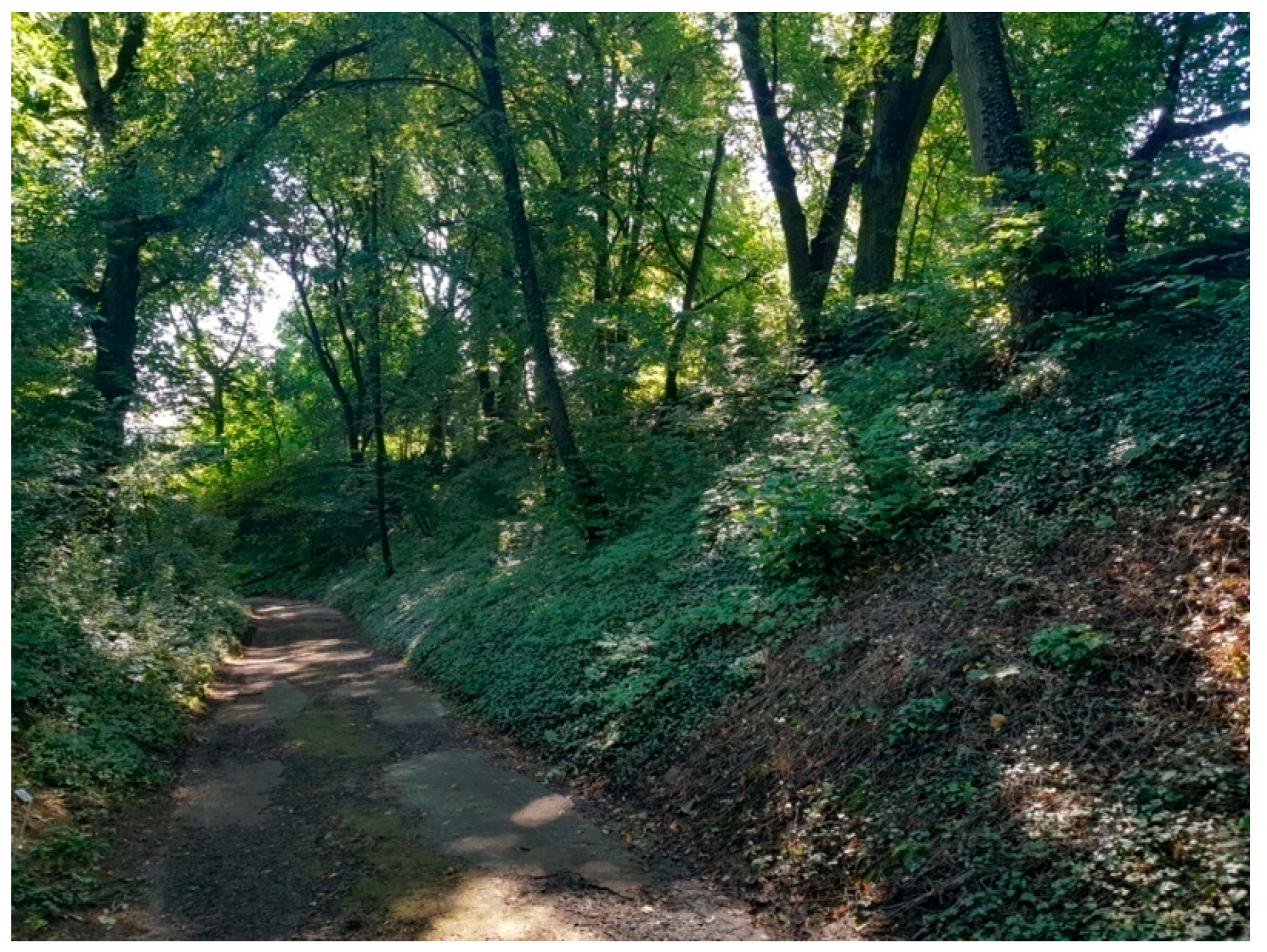 Sustainability 13 09451 g004