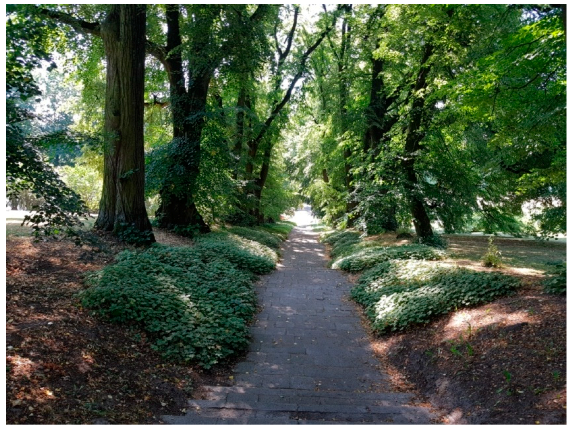 Sustainability 13 09451 g006