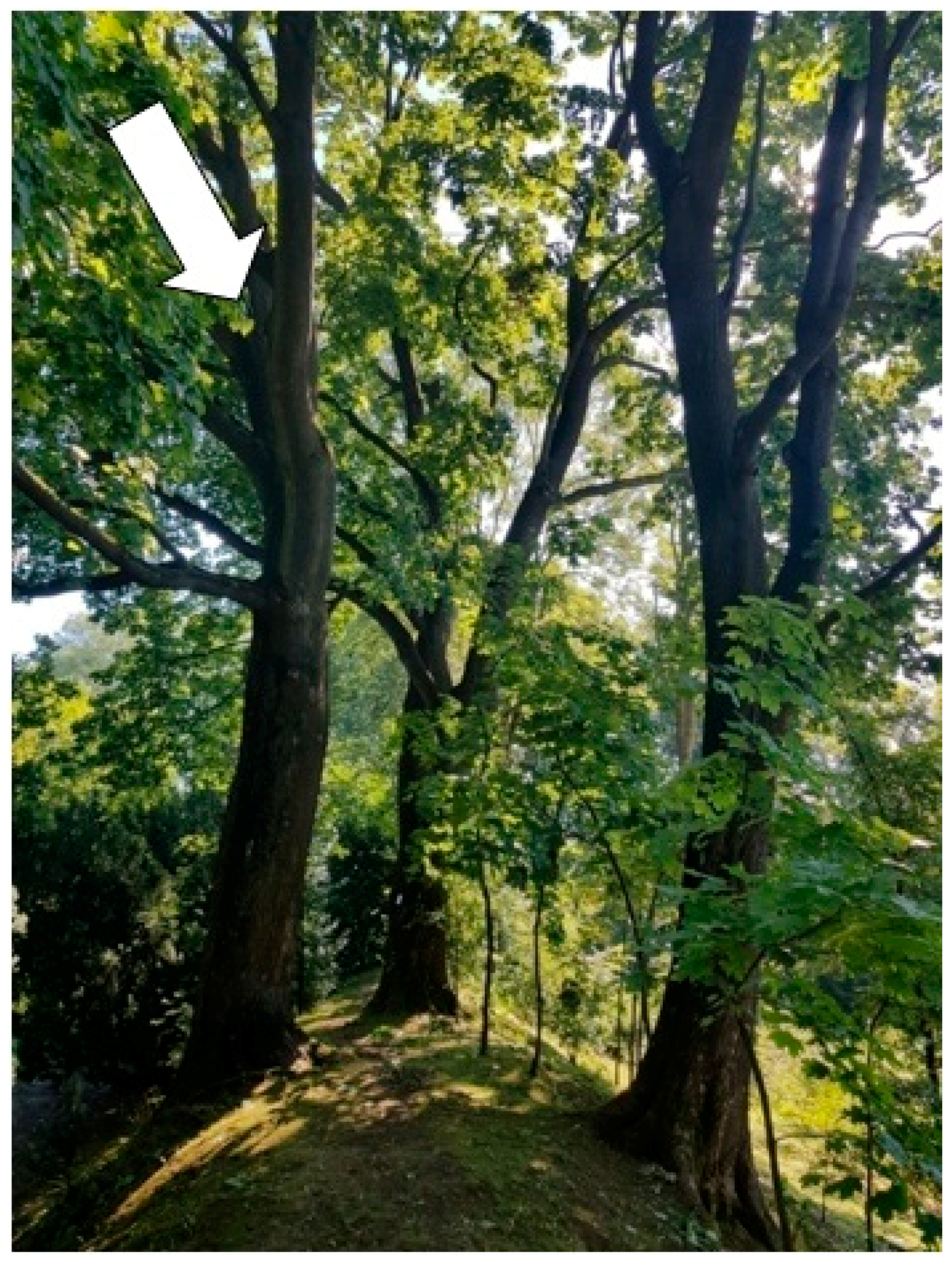 Sustainability 13 09451 g012