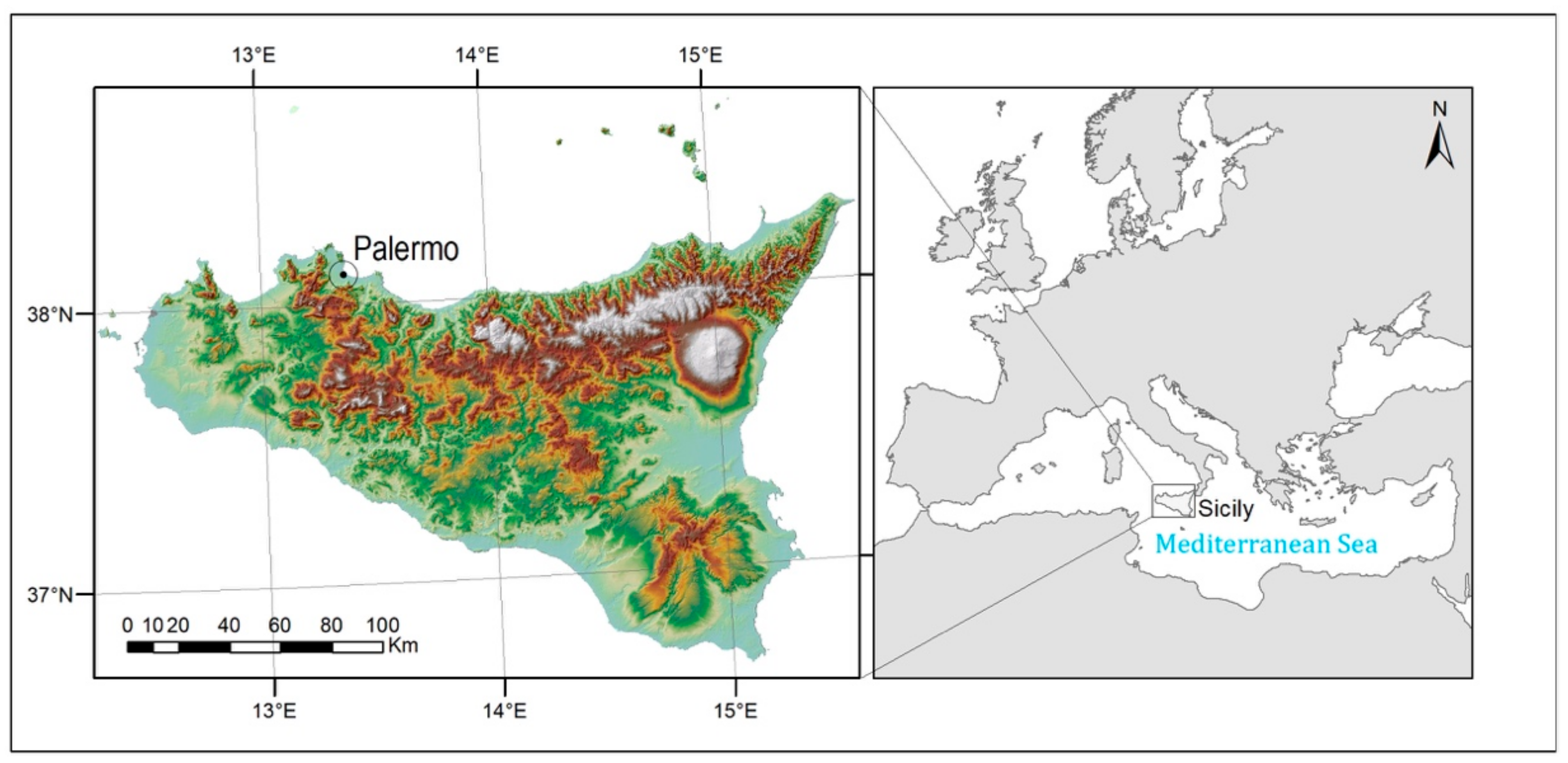 Sustainability 13 09469 g001