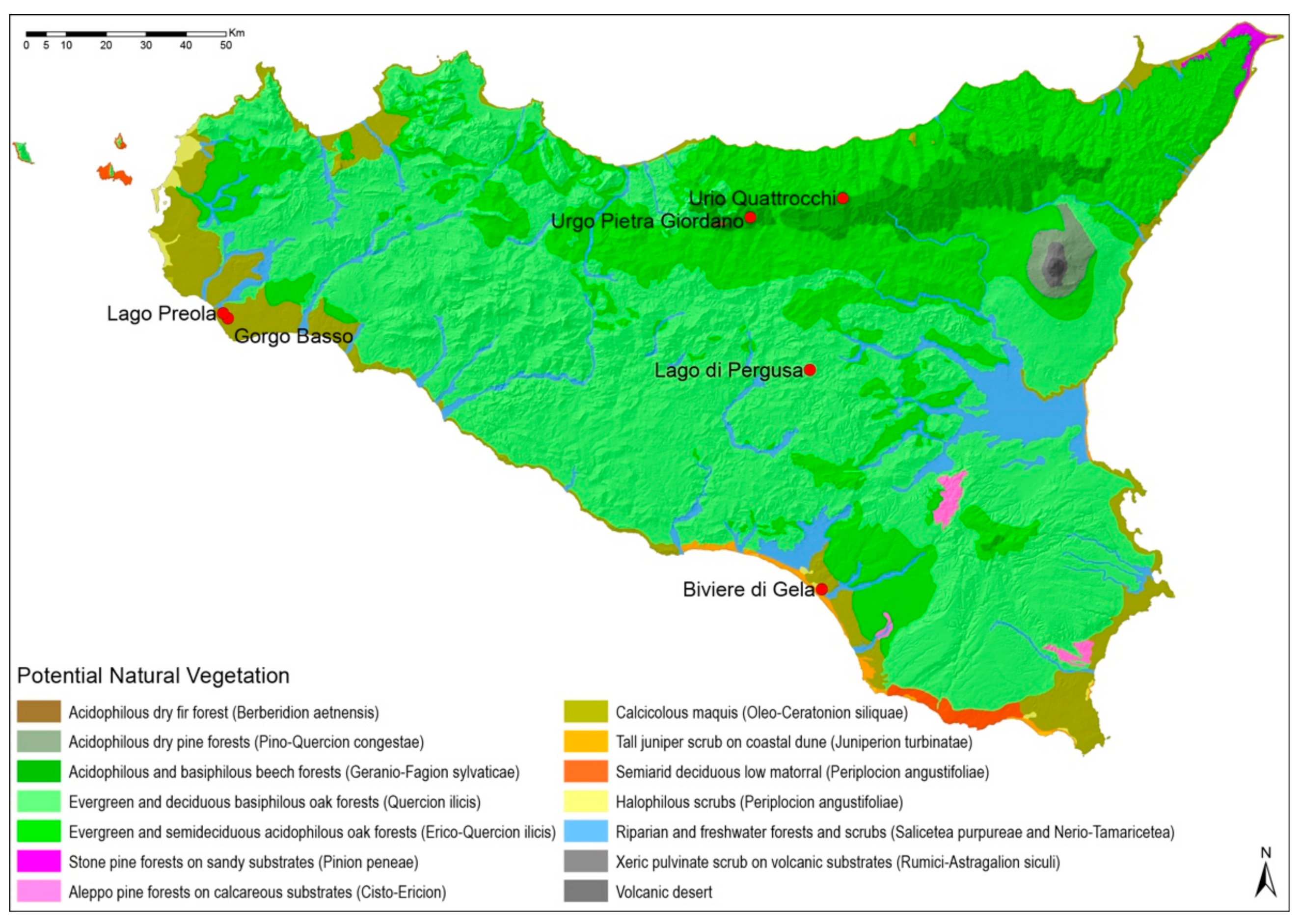 Sustainability 13 09469 g004