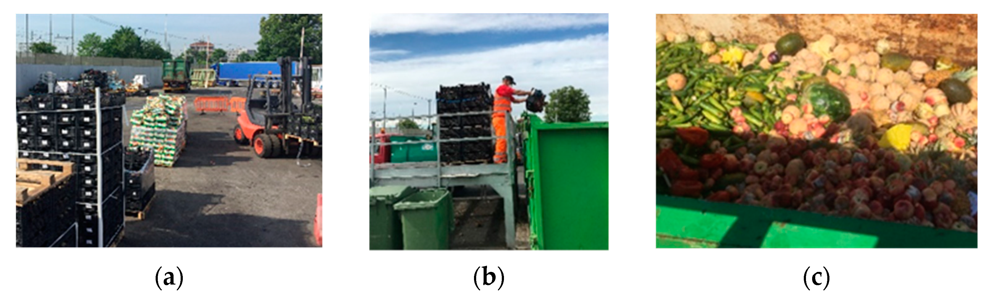 Sustainability 13 09478 g001