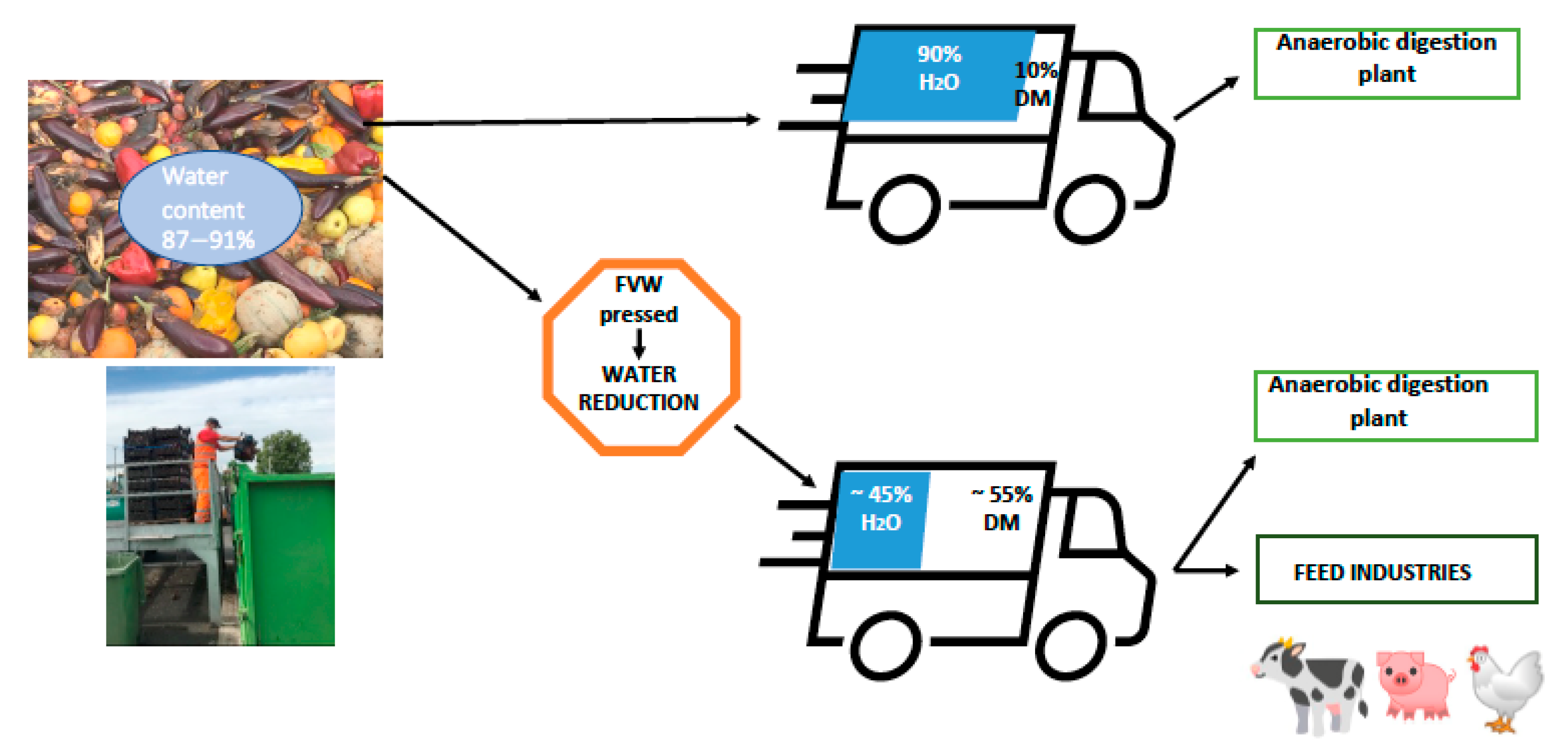 Sustainability 13 09478 g002