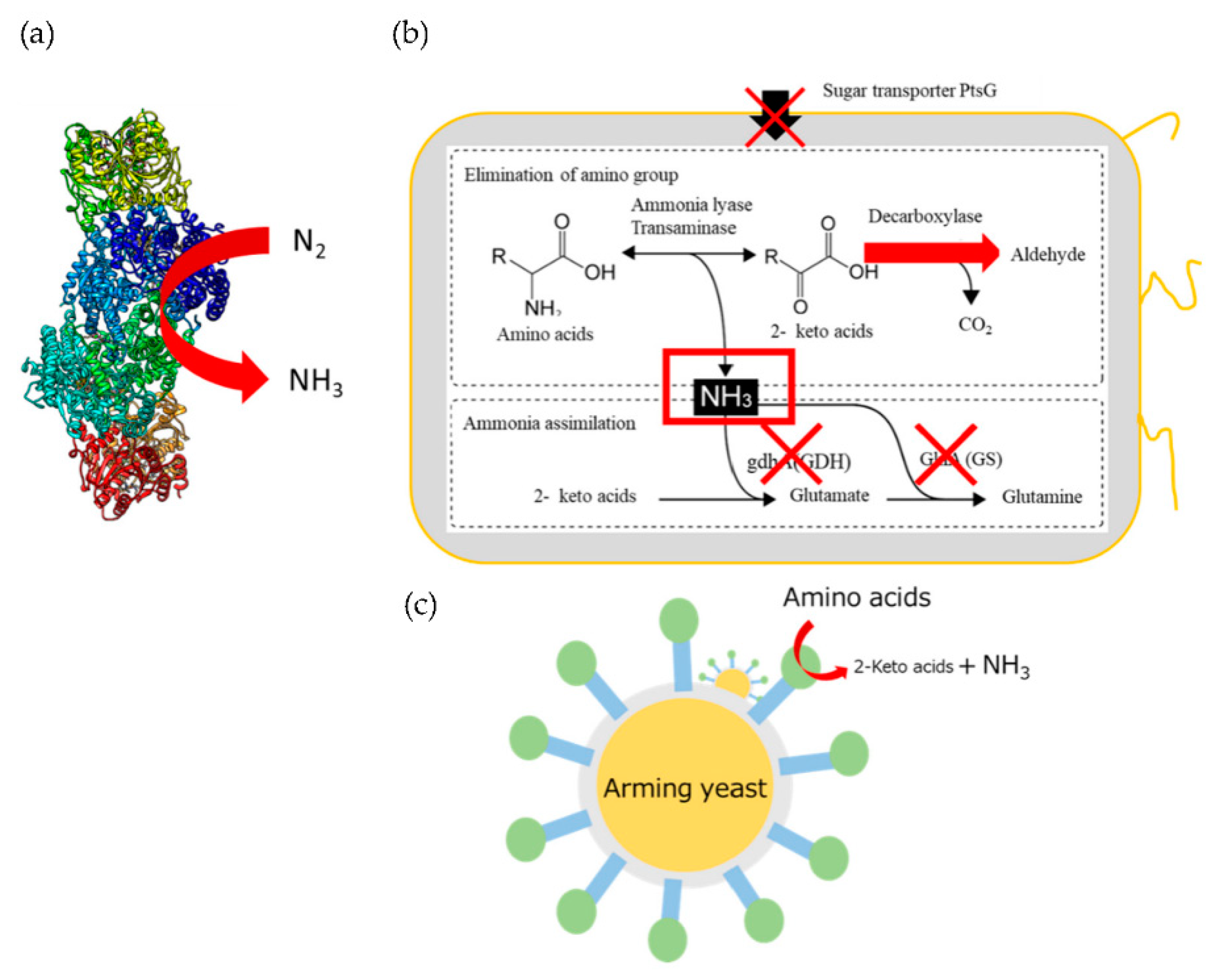 Sustainability 13 09496 g002