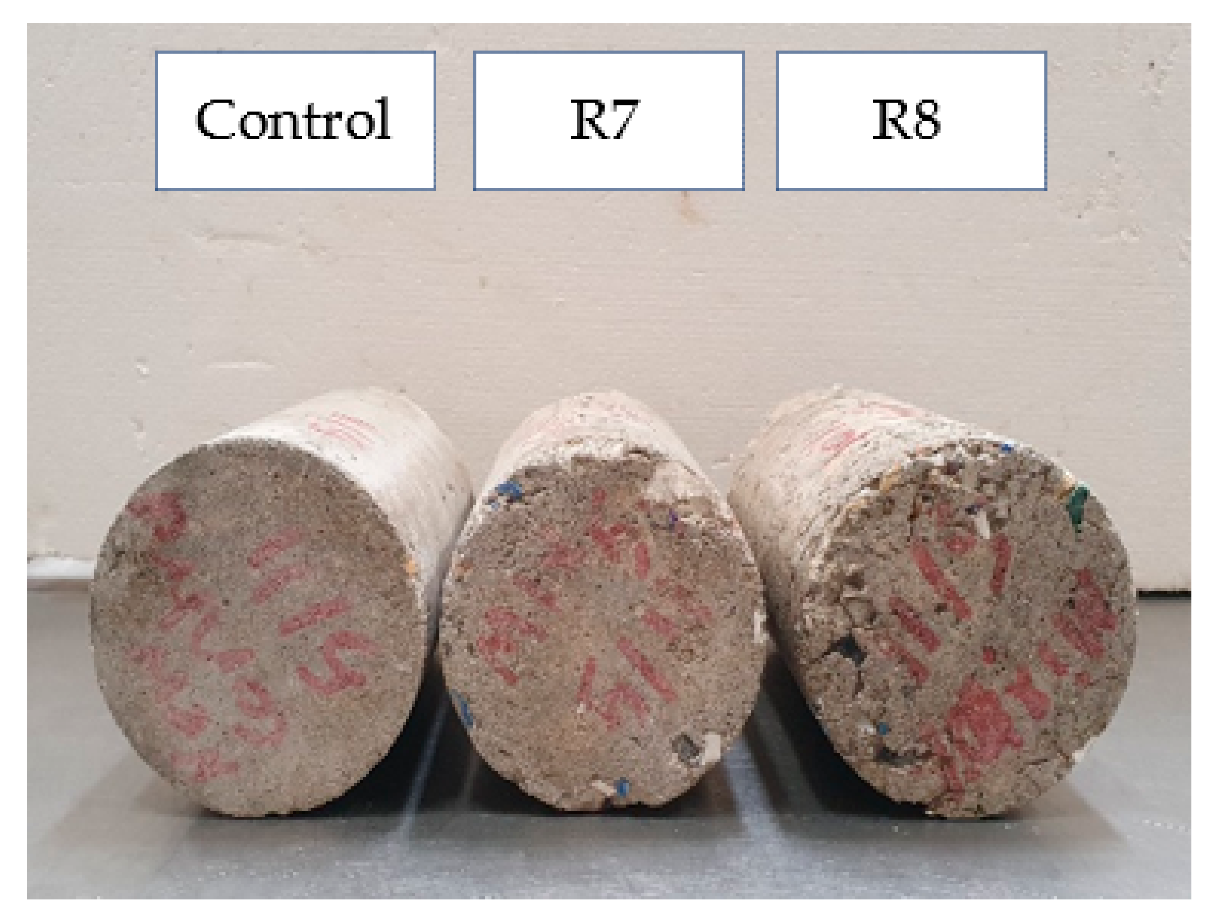 Sustainability 13 09521 g010