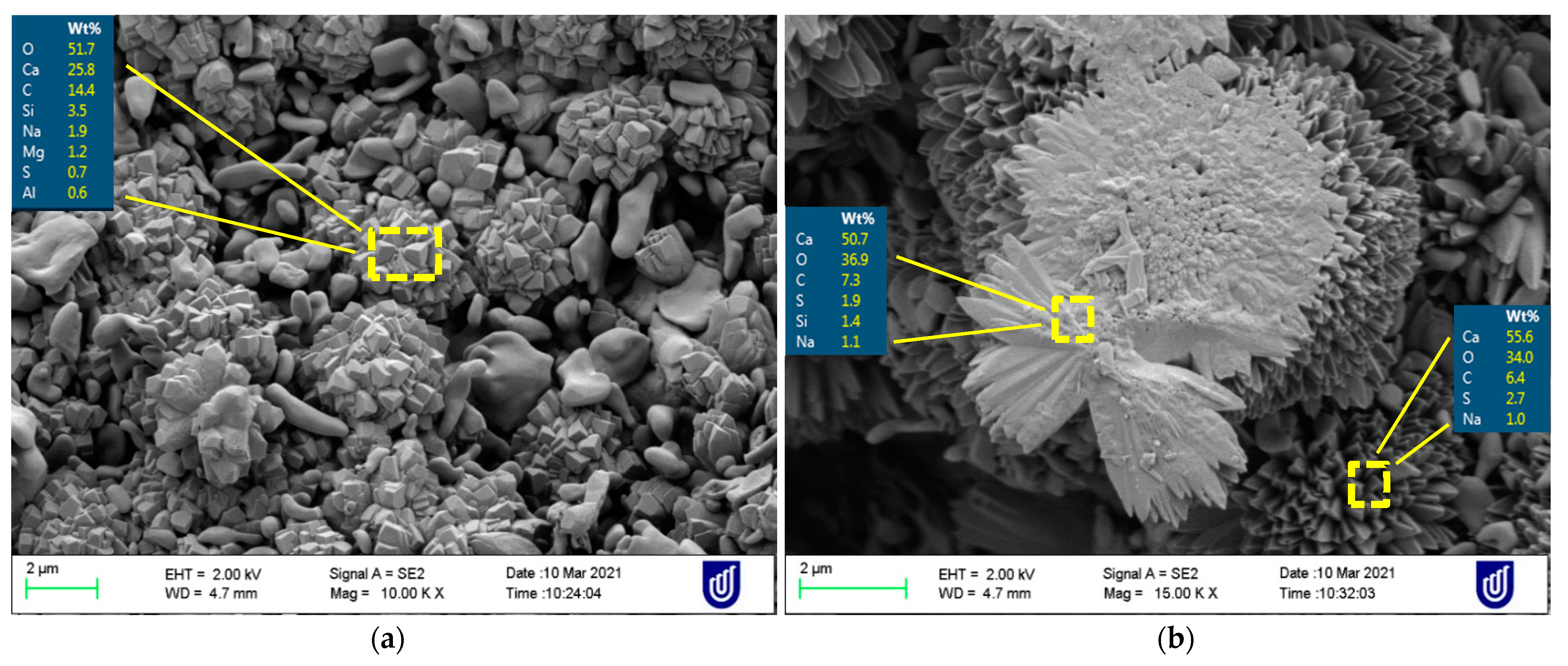 Sustainability 13 09521 g014
