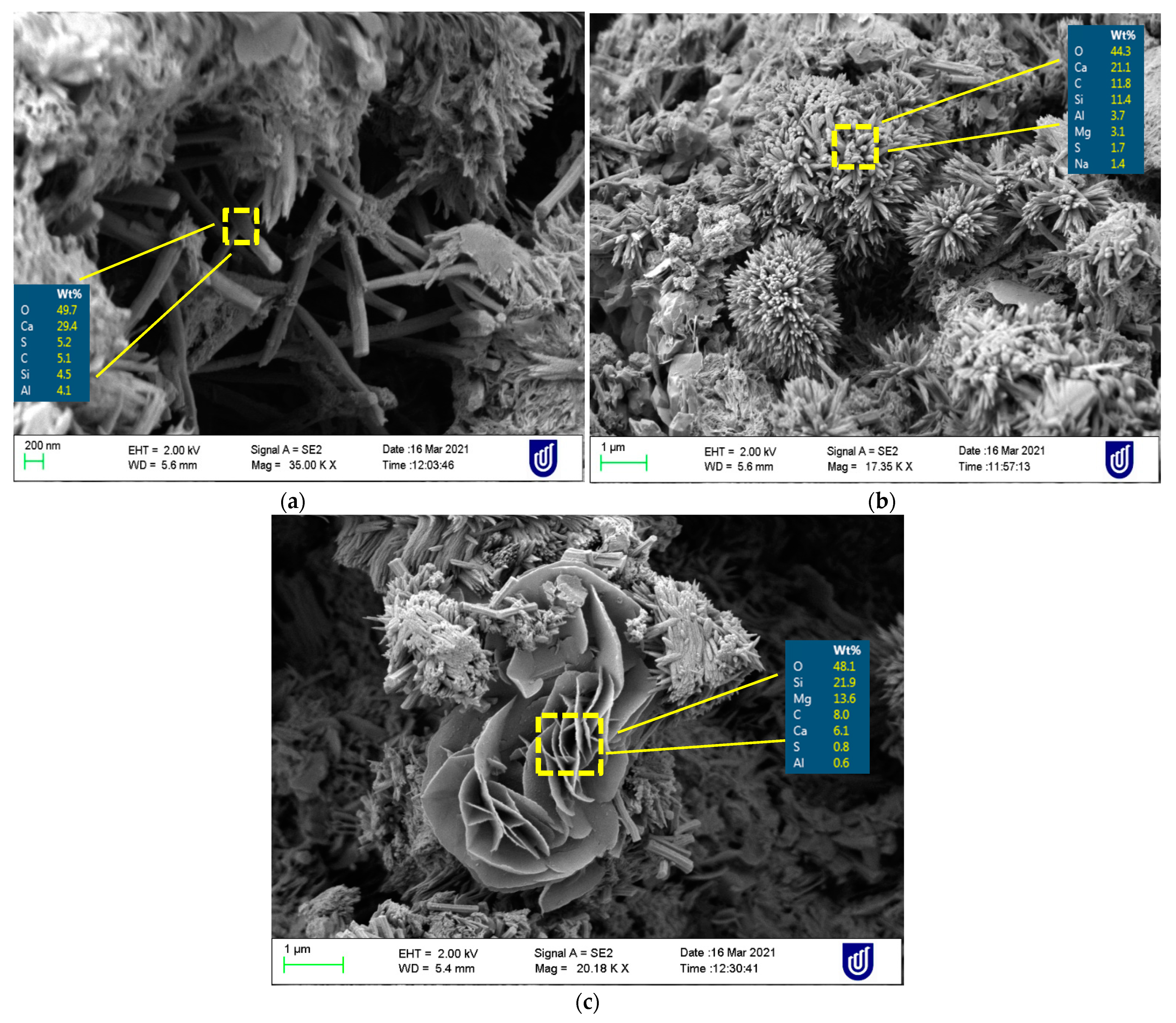 Sustainability 13 09521 g016