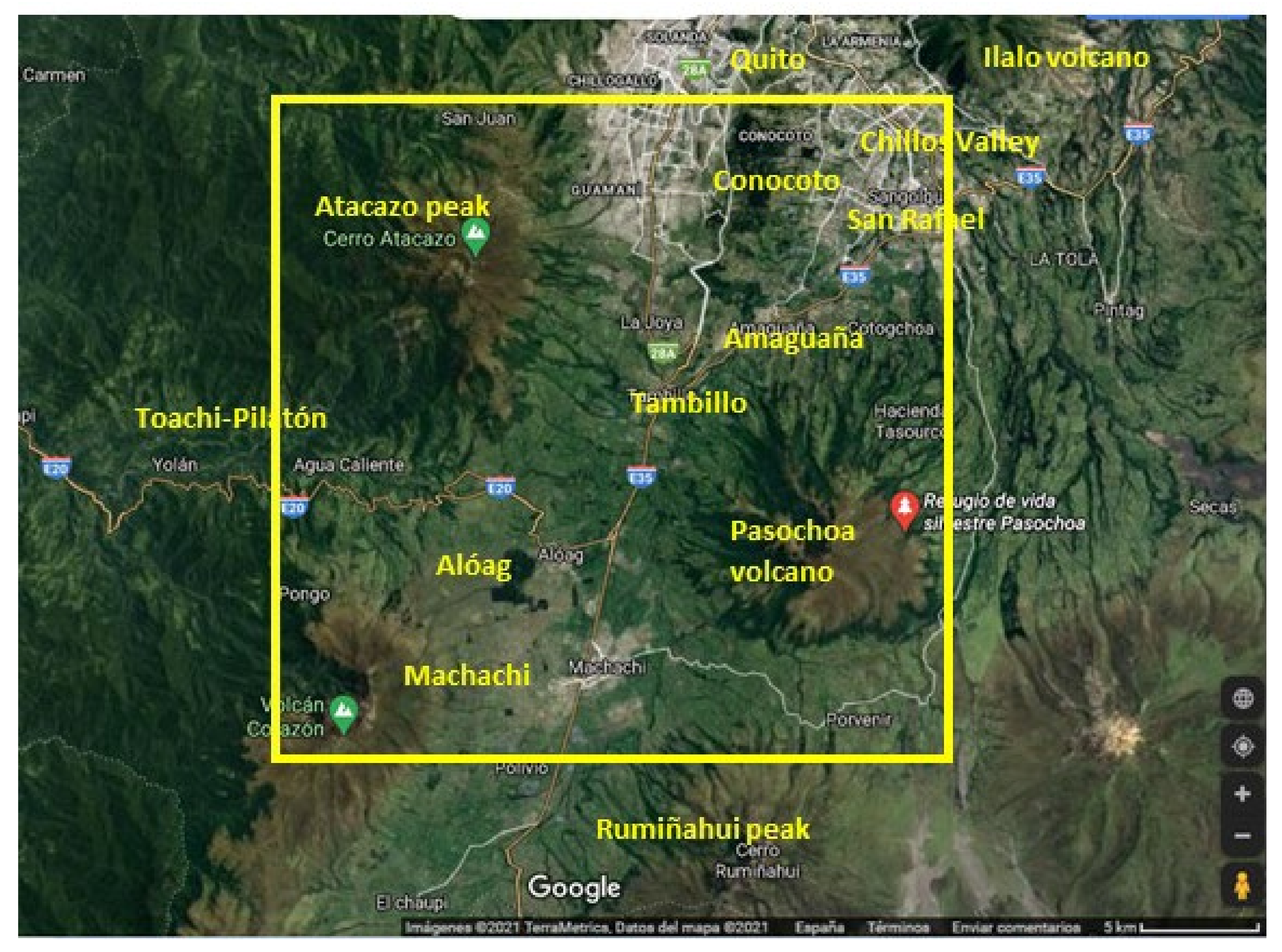 Sustainability 13 09525 g002