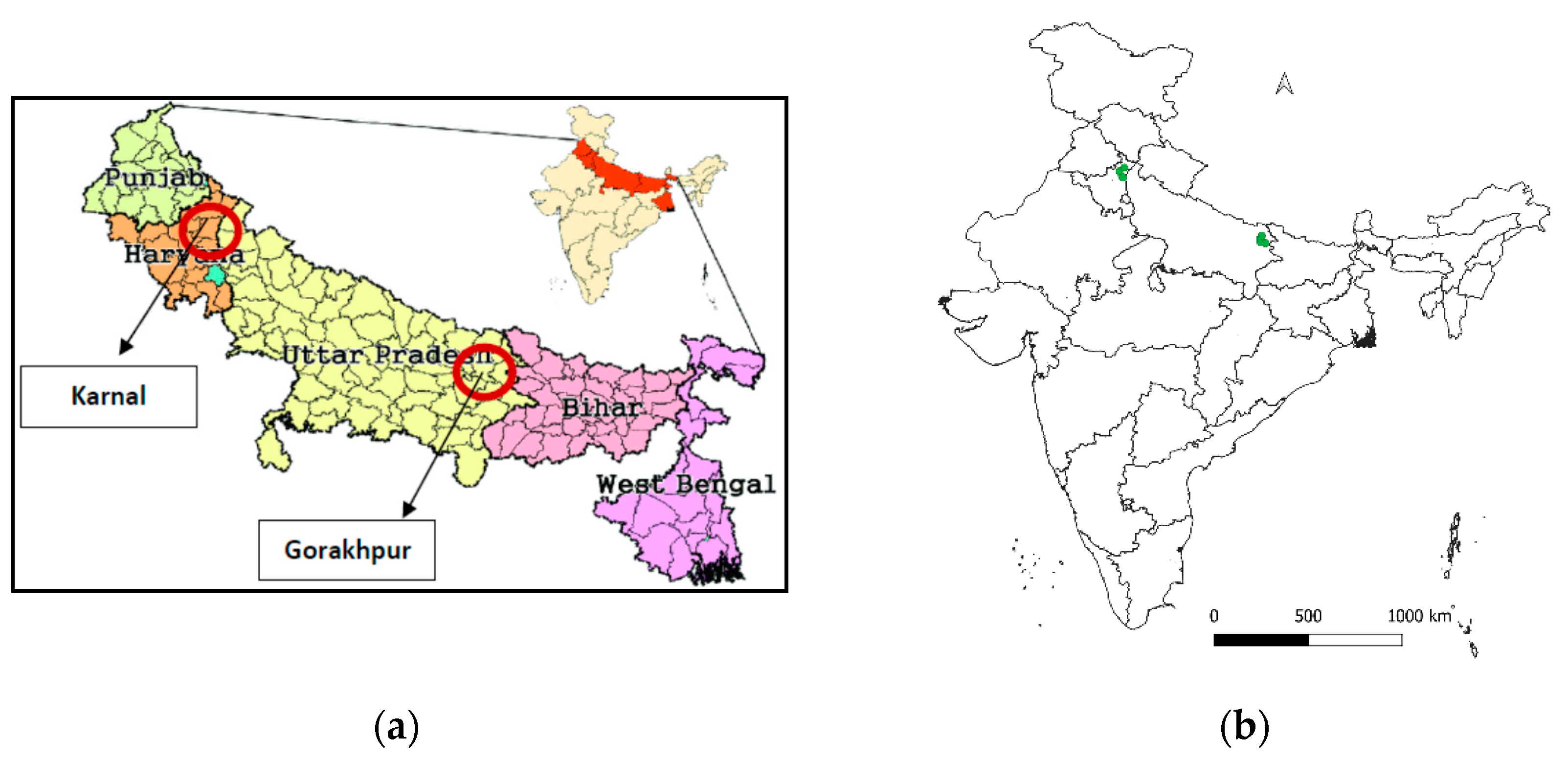 Sustainability 13 09546 g001