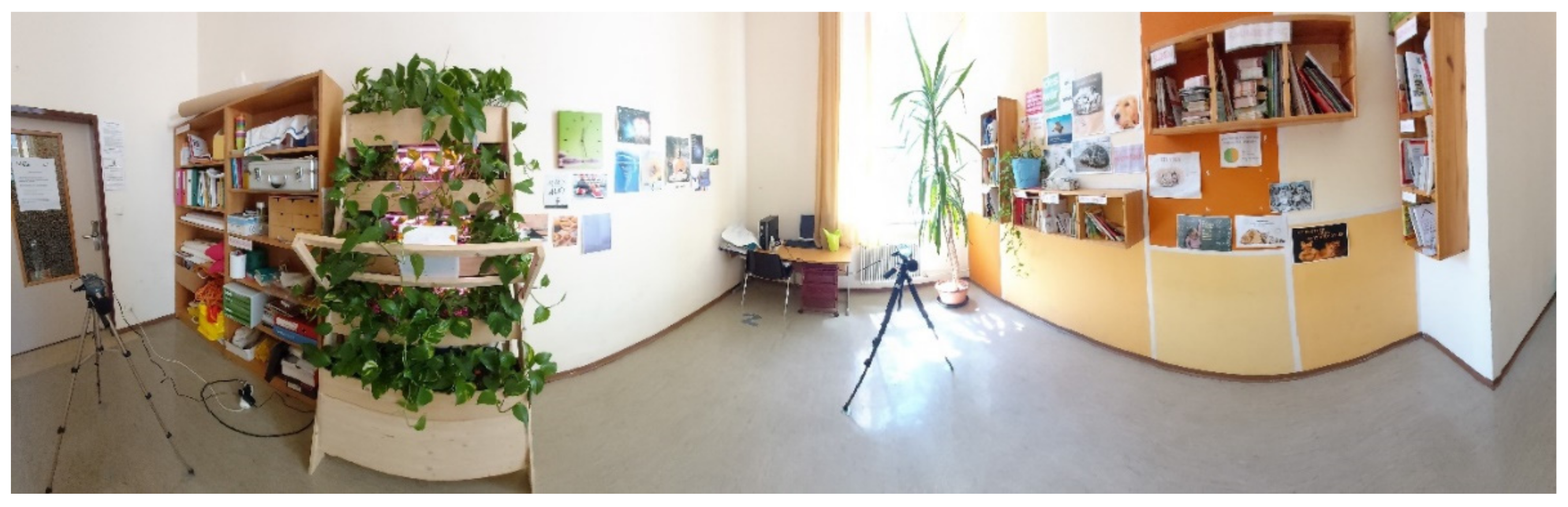 Sustainability 13 09566 g015