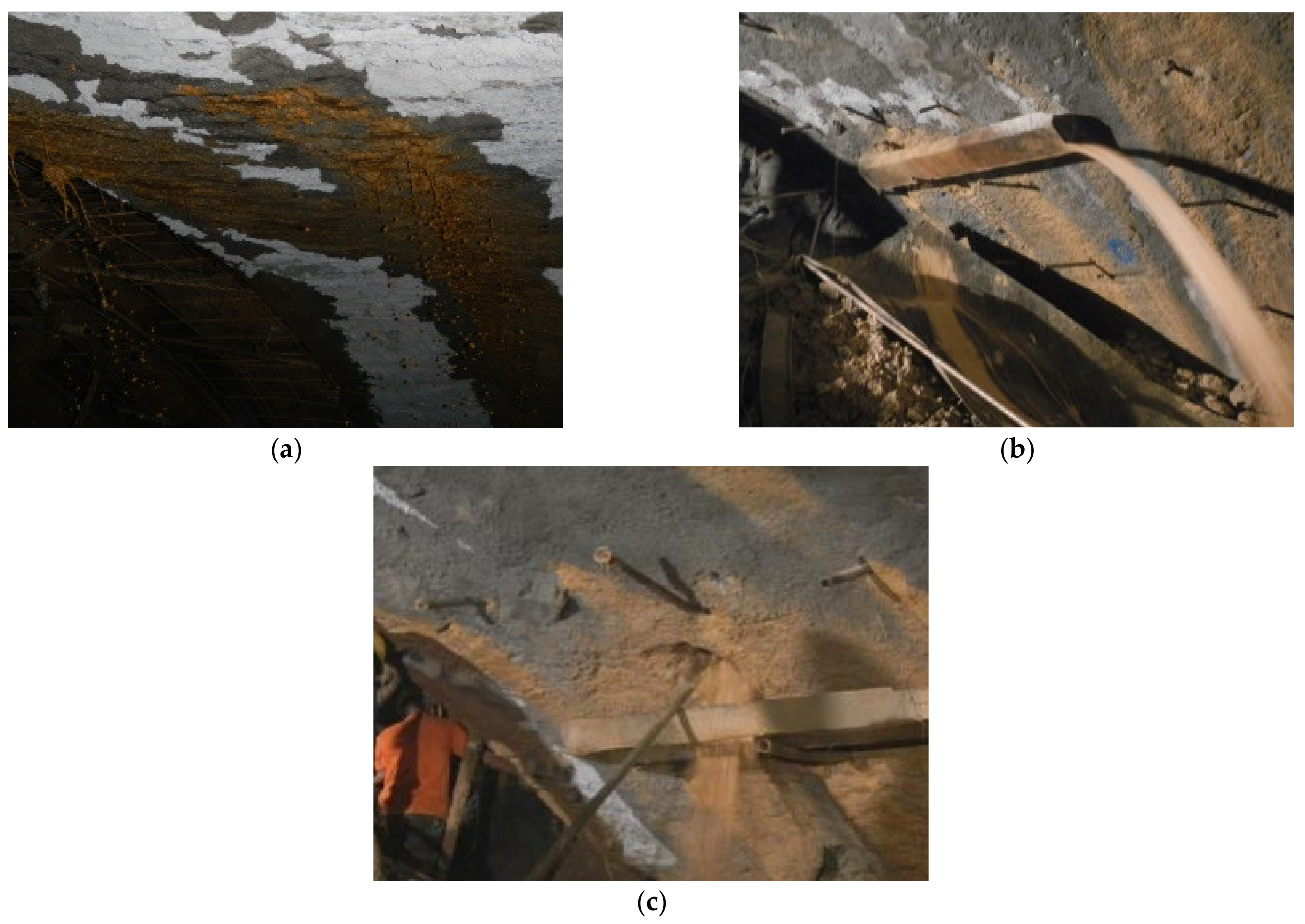 Sustainability 13 09585 g012