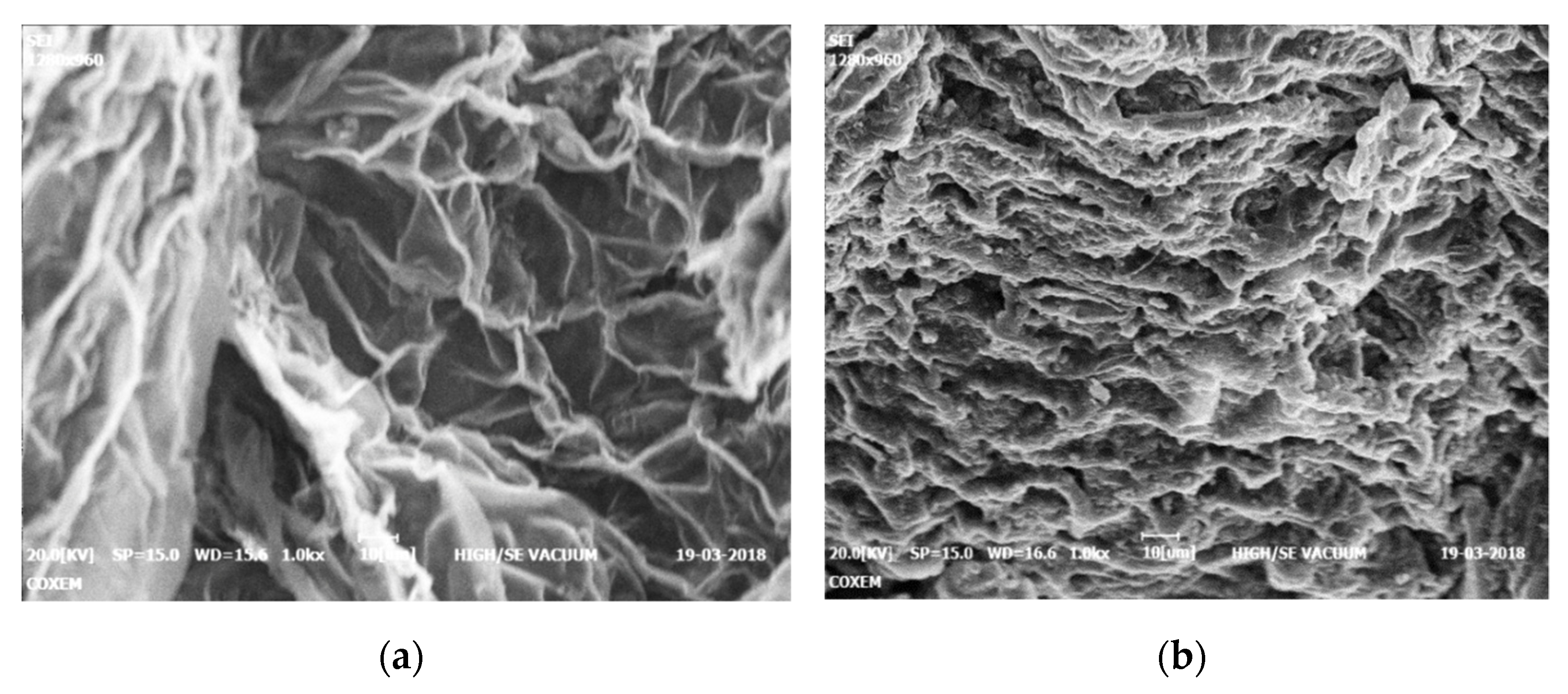 Sustainability 13 09588 g004