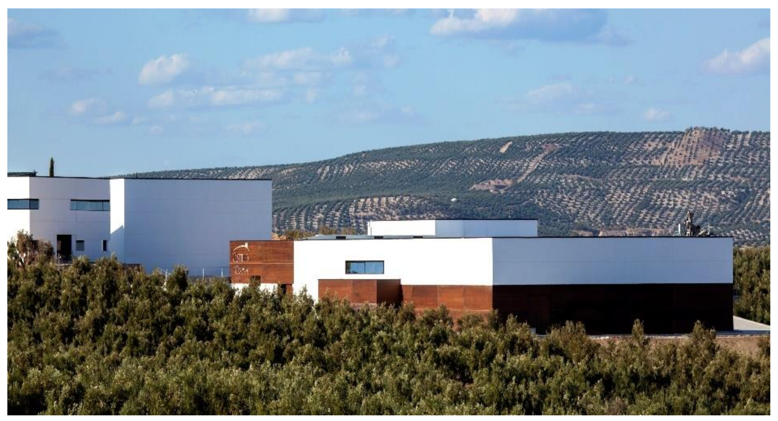 Sustainability 13 09614 g006