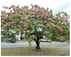 Sustainability 13 09617 i001