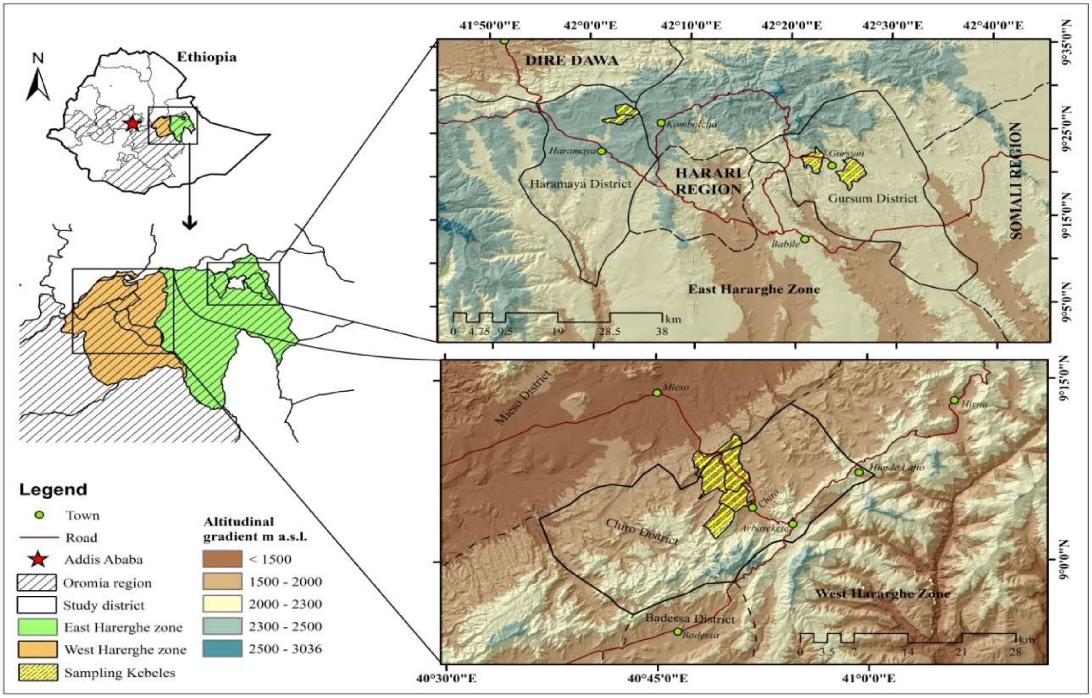 Sustainability 13 09622 g001