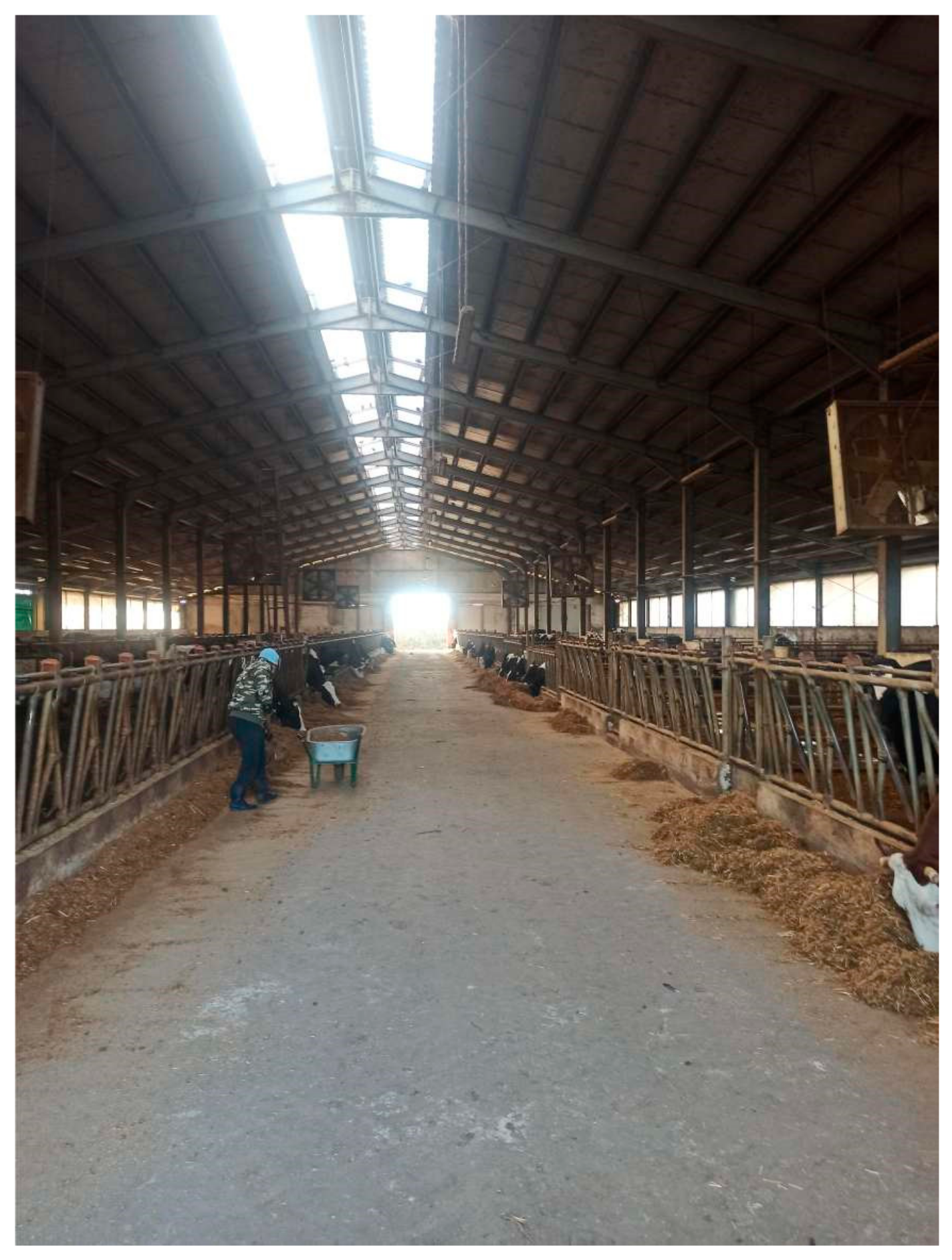 Sustainability 13 09633 g002