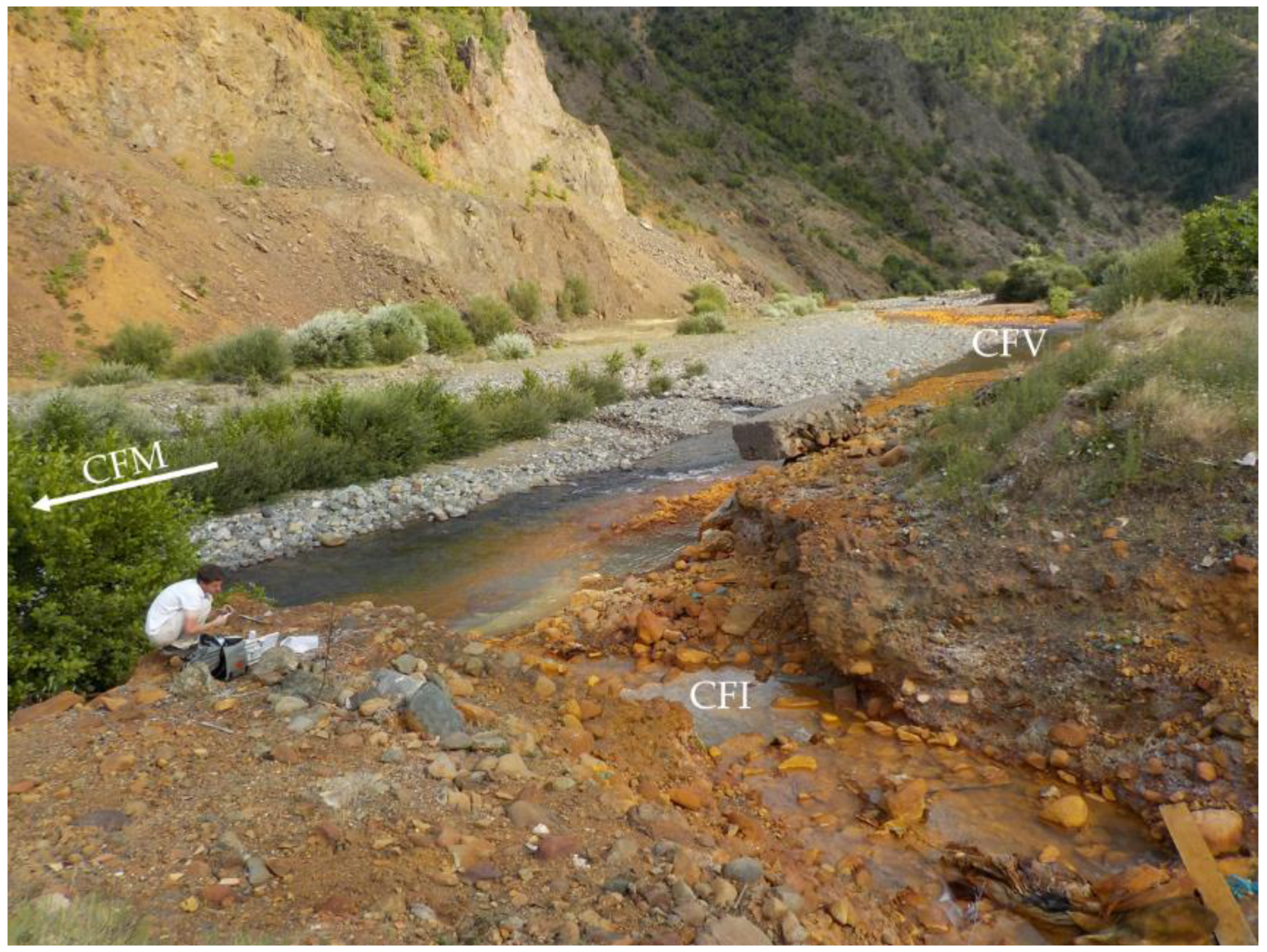 Sustainability 13 09643 g002