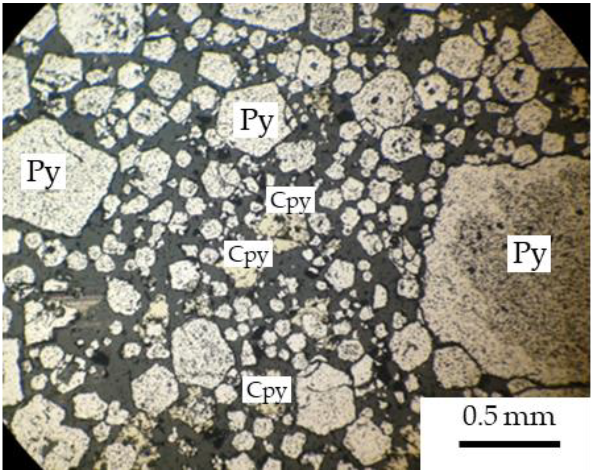 Sustainability 13 09643 g005