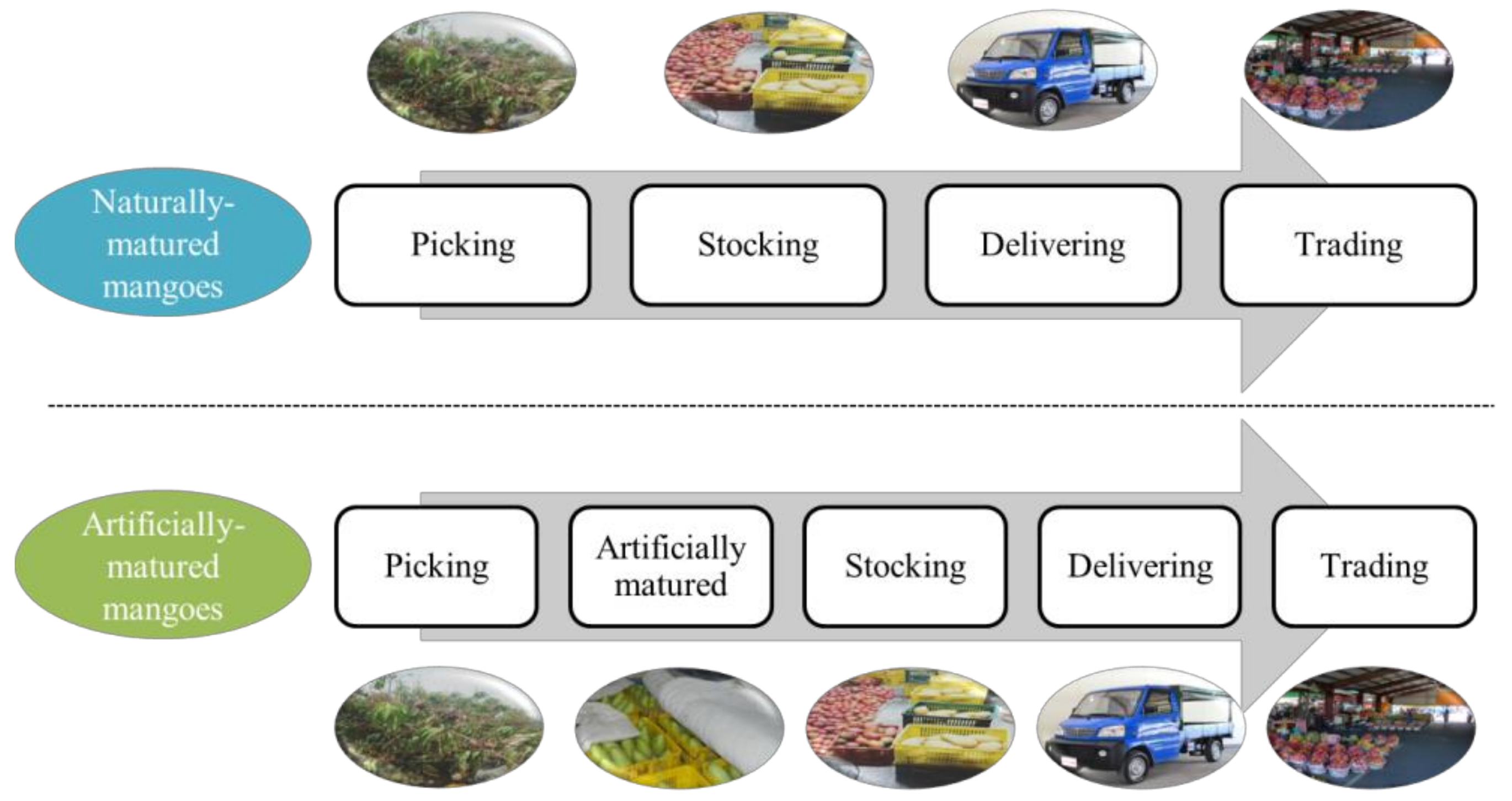 Sustainability 13 09660 g001 Sustainability 13 09660 g001