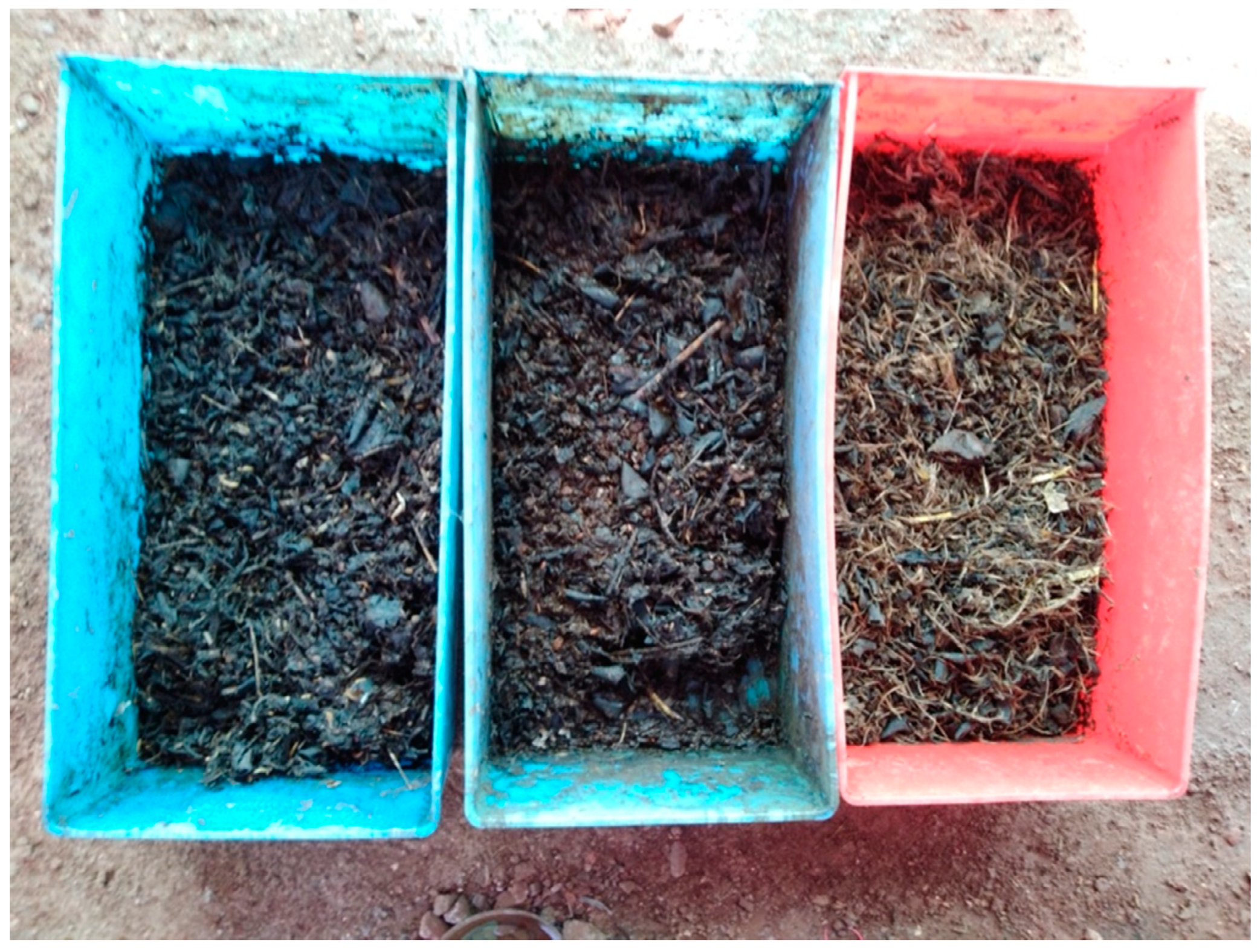 Sustainability 13 09722 g0a1