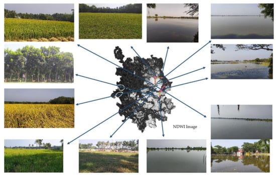 Sustainability 13 09798 g0a1 550