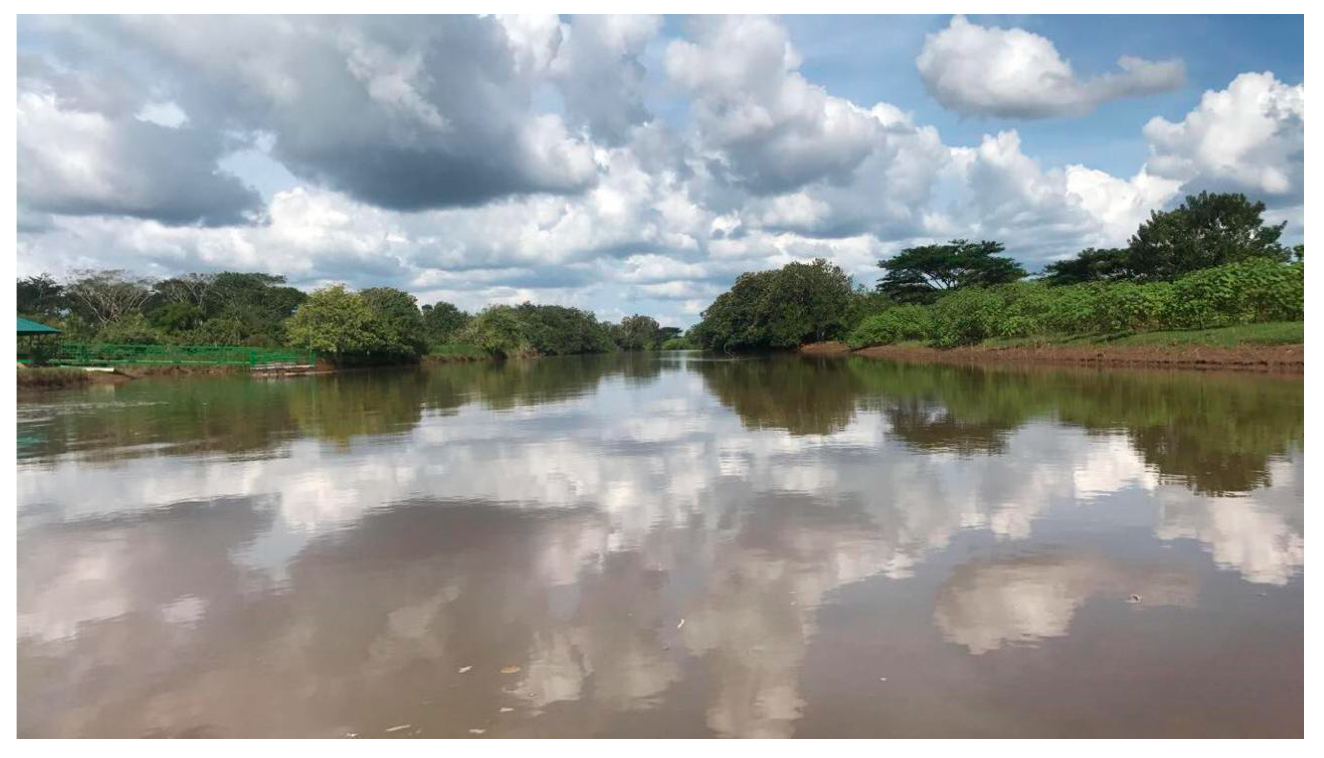 Sustainability 13 09818 g003